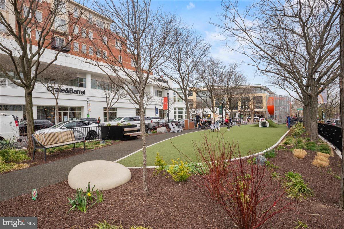 2504 WASHINGTON BLVD, ARLINGTON, Virginia 22201, 5 Bedrooms Bedrooms, ,5 BathroomsBathrooms,Residential,For sale,2504 WASHINGTON BLVD,VAAR2065750 MLS # VAAR2065750 2504 WASHINGTON BLVD, ARLINGTON, Virginia 22201, 5 Bedrooms Bedrooms, ,5 BathroomsBathrooms,Residential,For sale,2504 WASHINGTON BLVD,VAAR2065750 MLS # VAAR2065750