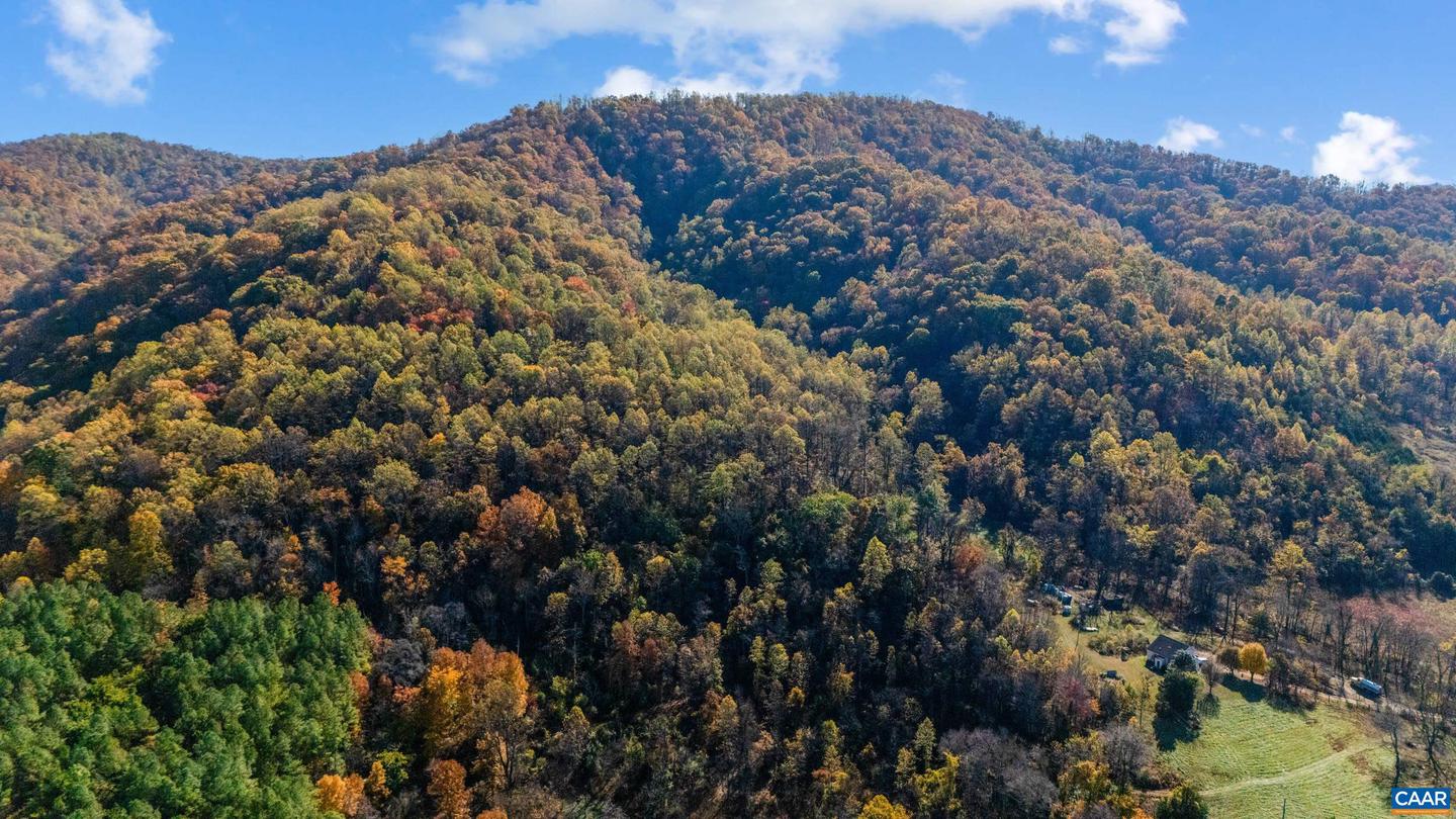 2728 EAST BRANCH LOOP, ROSELAND, Virginia 22967, 2 Bedrooms Bedrooms, ,2 BathroomsBathrooms,Residential,For sale,2728 EAST BRANCH LOOP,670774 MLS # 670774 2728 EAST BRANCH LOOP, ROSELAND, Virginia 22967, 2 Bedrooms Bedrooms, ,2 BathroomsBathrooms,Residential,For sale,2728 EAST BRANCH LOOP,670774 MLS # 670774