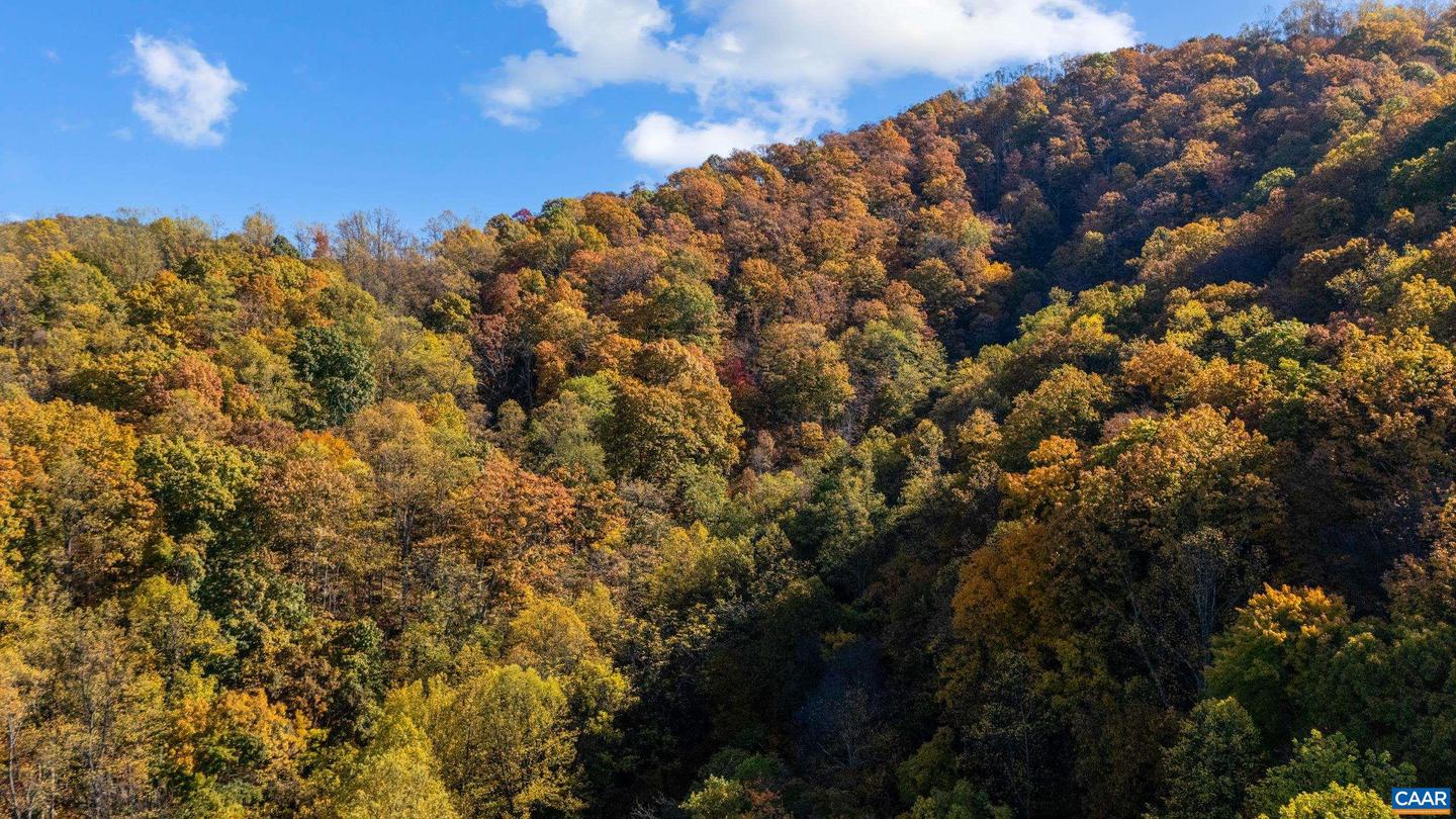 2728 EAST BRANCH LOOP, ROSELAND, Virginia 22967, 2 Bedrooms Bedrooms, ,2 BathroomsBathrooms,Residential,For sale,2728 EAST BRANCH LOOP,670774 MLS # 670774 2728 EAST BRANCH LOOP, ROSELAND, Virginia 22967, 2 Bedrooms Bedrooms, ,2 BathroomsBathrooms,Residential,For sale,2728 EAST BRANCH LOOP,670774 MLS # 670774