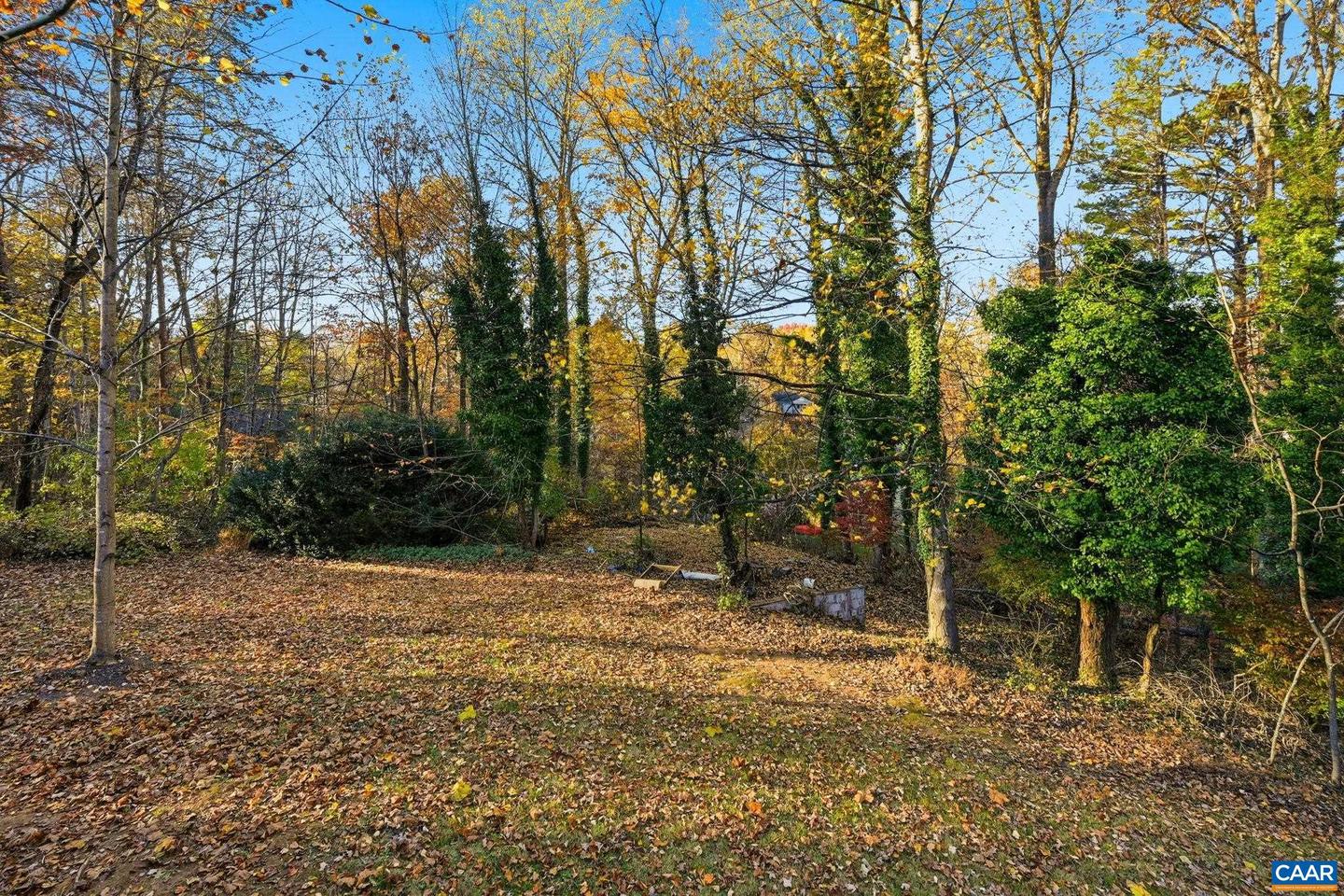 247 GOLDENROD RD, RUCKERSVILLE, Virginia 22968, 3 Bedrooms Bedrooms, ,2 BathroomsBathrooms,Residential,For sale,247 GOLDENROD RD,670742 MLS # 670742 247 GOLDENROD RD, RUCKERSVILLE, Virginia 22968, 3 Bedrooms Bedrooms, ,2 BathroomsBathrooms,Residential,For sale,247 GOLDENROD RD,670742 MLS # 670742