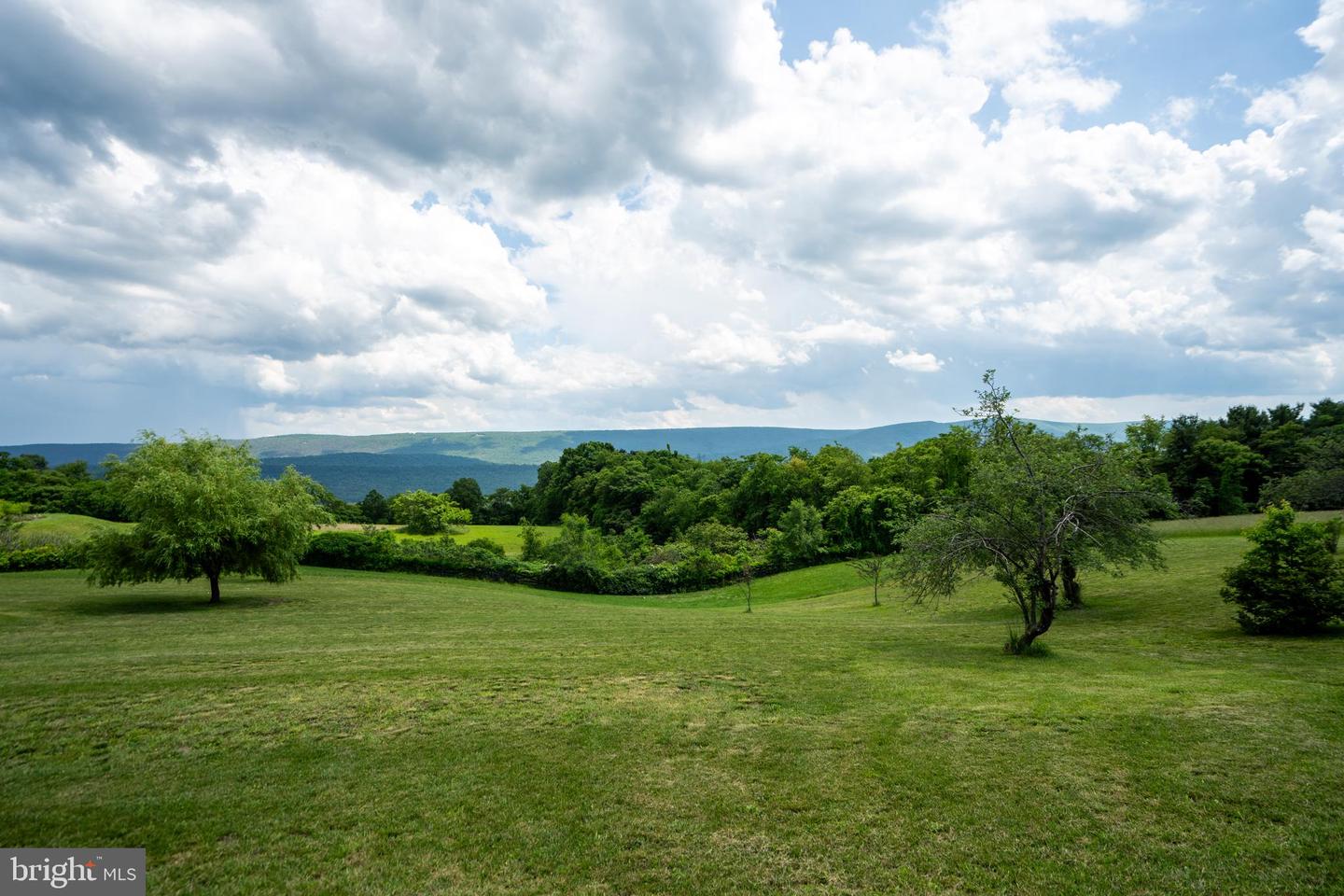 1171 MUSE RD, GORE, Virginia 22637, 4 Bedrooms Bedrooms, ,3 BathroomsBathrooms,Residential,For sale,1171 MUSE RD,VAFV2037900 MLS # VAFV2037900 1171 MUSE RD, GORE, Virginia 22637, 4 Bedrooms Bedrooms, ,3 BathroomsBathrooms,Residential,For sale,1171 MUSE RD,VAFV2037900 MLS # VAFV2037900