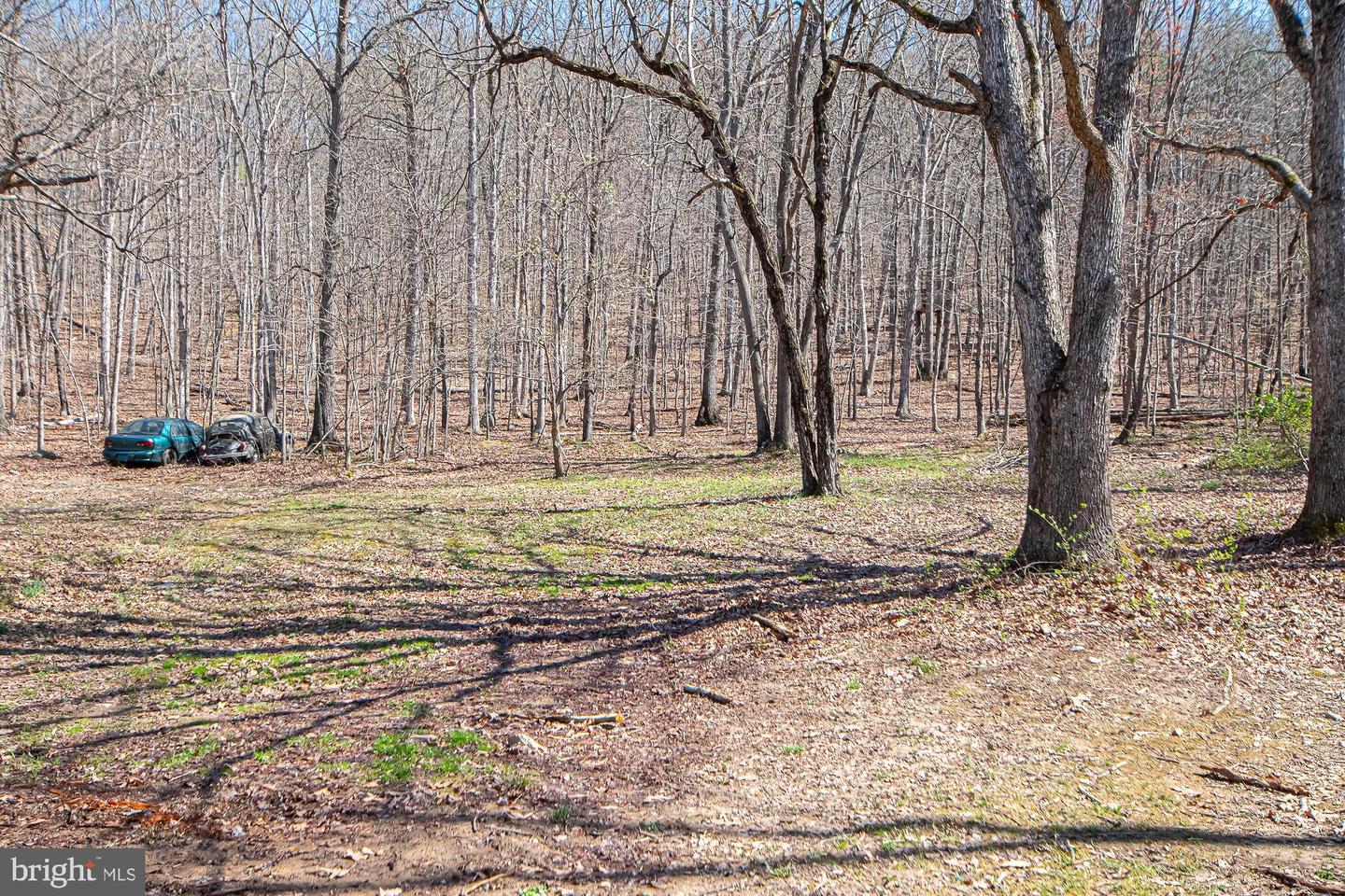 4792 HOWELLSVILLE RD, FRONT ROYAL, Virginia 22630, 2 Bedrooms Bedrooms, ,2 BathroomsBathrooms,Residential,For sale,4792 HOWELLSVILLE RD,VAWR2010820 MLS # VAWR2010820 4792 HOWELLSVILLE RD, FRONT ROYAL, Virginia 22630, 2 Bedrooms Bedrooms, ,2 BathroomsBathrooms,Residential,For sale,4792 HOWELLSVILLE RD,VAWR2010820 MLS # VAWR2010820