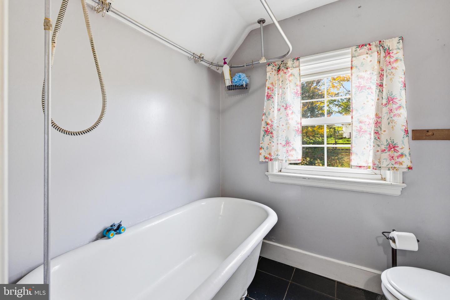 143 LAKEWOOD RD, LURAY, Virginia 22835, 4 Bedrooms Bedrooms, ,2 BathroomsBathrooms,Residential,For sale,143 LAKEWOOD RD,VAPA2005522 MLS # VAPA2005522 143 LAKEWOOD RD, LURAY, Virginia 22835, 4 Bedrooms Bedrooms, ,2 BathroomsBathrooms,Residential,For sale,143 LAKEWOOD RD,VAPA2005522 MLS # VAPA2005522