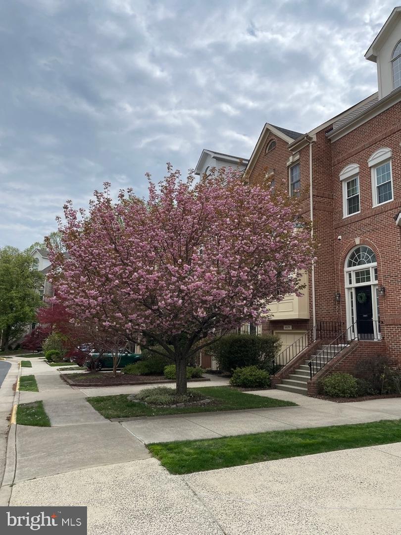 6631 DUNWICH WAY, ALEXANDRIA, Virginia 22315, 3 Bedrooms Bedrooms, ,3 BathroomsBathrooms,Residential,For sale,6631 DUNWICH WAY,VAFX2276546 MLS # VAFX2276546 6631 DUNWICH WAY, ALEXANDRIA, Virginia 22315, 3 Bedrooms Bedrooms, ,3 BathroomsBathrooms,Residential,For sale,6631 DUNWICH WAY,VAFX2276546 MLS # VAFX2276546