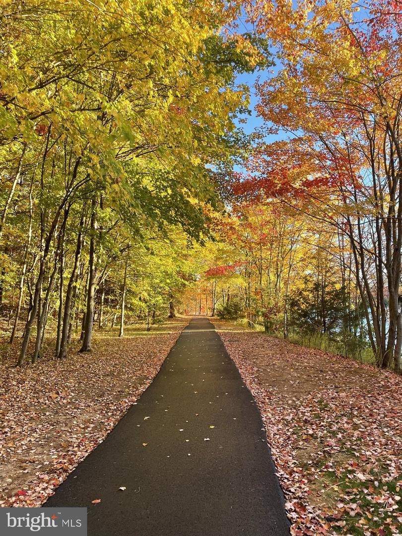 6631 DUNWICH WAY, ALEXANDRIA, Virginia 22315, 3 Bedrooms Bedrooms, ,3 BathroomsBathrooms,Residential,For sale,6631 DUNWICH WAY,VAFX2276546 MLS # VAFX2276546 6631 DUNWICH WAY, ALEXANDRIA, Virginia 22315, 3 Bedrooms Bedrooms, ,3 BathroomsBathrooms,Residential,For sale,6631 DUNWICH WAY,VAFX2276546 MLS # VAFX2276546