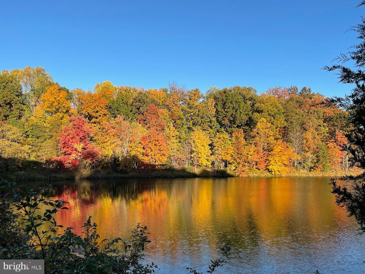 6631 DUNWICH WAY, ALEXANDRIA, Virginia 22315, 3 Bedrooms Bedrooms, ,3 BathroomsBathrooms,Residential,For sale,6631 DUNWICH WAY,VAFX2276546 MLS # VAFX2276546 6631 DUNWICH WAY, ALEXANDRIA, Virginia 22315, 3 Bedrooms Bedrooms, ,3 BathroomsBathrooms,Residential,For sale,6631 DUNWICH WAY,VAFX2276546 MLS # VAFX2276546