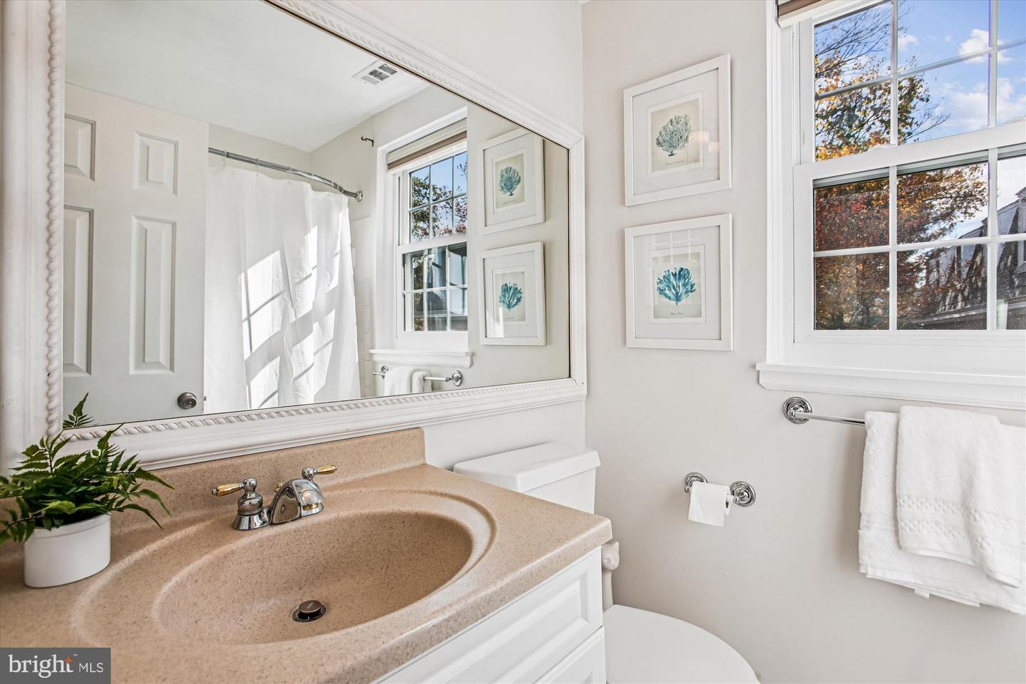 3000 S COLUMBUS ST S #B2, ARLINGTON, Virginia 22206, 2 Bedrooms Bedrooms, 9 Rooms Rooms,1 BathroomBathrooms,Residential,For sale,3000 S COLUMBUS ST S #B2,VAAR2065598 MLS # VAAR2065598 3000 S COLUMBUS ST S #B2, ARLINGTON, Virginia 22206, 2 Bedrooms Bedrooms, 9 Rooms Rooms,1 BathroomBathrooms,Residential,For sale,3000 S COLUMBUS ST S #B2,VAAR2065598 MLS # VAAR2065598