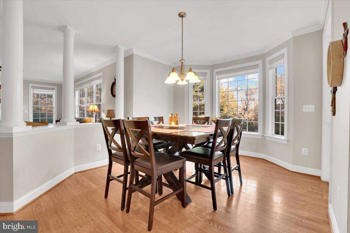 16886 IVANDALE RD, HAMILTON, Virginia 20158, 4 Bedrooms Bedrooms, ,4 BathroomsBathrooms,Residential,For sale,16886 IVANDALE RD,VALO2110350 MLS # VALO2110350 16886 IVANDALE RD, HAMILTON, Virginia 20158, 4 Bedrooms Bedrooms, ,4 BathroomsBathrooms,Residential,For sale,16886 IVANDALE RD,VALO2110350 MLS # VALO2110350