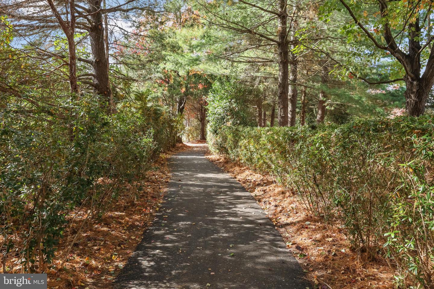 12093 TRUMBULL WAY #12A, RESTON, Virginia 20190, 2 Bedrooms Bedrooms, ,2 BathroomsBathrooms,Residential,For sale,12093 TRUMBULL WAY #12A,VAFX2277266 MLS # VAFX2277266 12093 TRUMBULL WAY #12A, RESTON, Virginia 20190, 2 Bedrooms Bedrooms, ,2 BathroomsBathrooms,Residential,For sale,12093 TRUMBULL WAY #12A,VAFX2277266 MLS # VAFX2277266