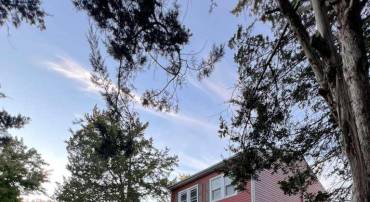 401 CANTERBURY RD, FREDERICKSBURG, Virginia 22401, 4 Bedrooms Bedrooms, ,2 BathroomsBathrooms,Residential,For sale,401 CANTERBURY RD,VAFB2009234 MLS # VAFB2009234