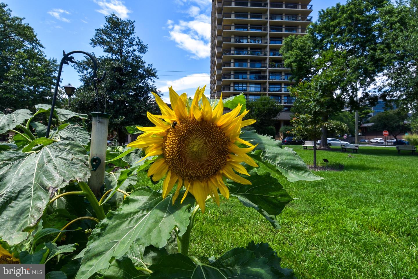 400 MADISON ST #1008, ALEXANDRIA, Virginia 22314, 3 Bedrooms Bedrooms, ,2 BathroomsBathrooms,Residential,For sale,400 MADISON ST #1008,VAAX2051438 MLS # VAAX2051438 400 MADISON ST #1008, ALEXANDRIA, Virginia 22314, 3 Bedrooms Bedrooms, ,2 BathroomsBathrooms,Residential,For sale,400 MADISON ST #1008,VAAX2051438 MLS # VAAX2051438