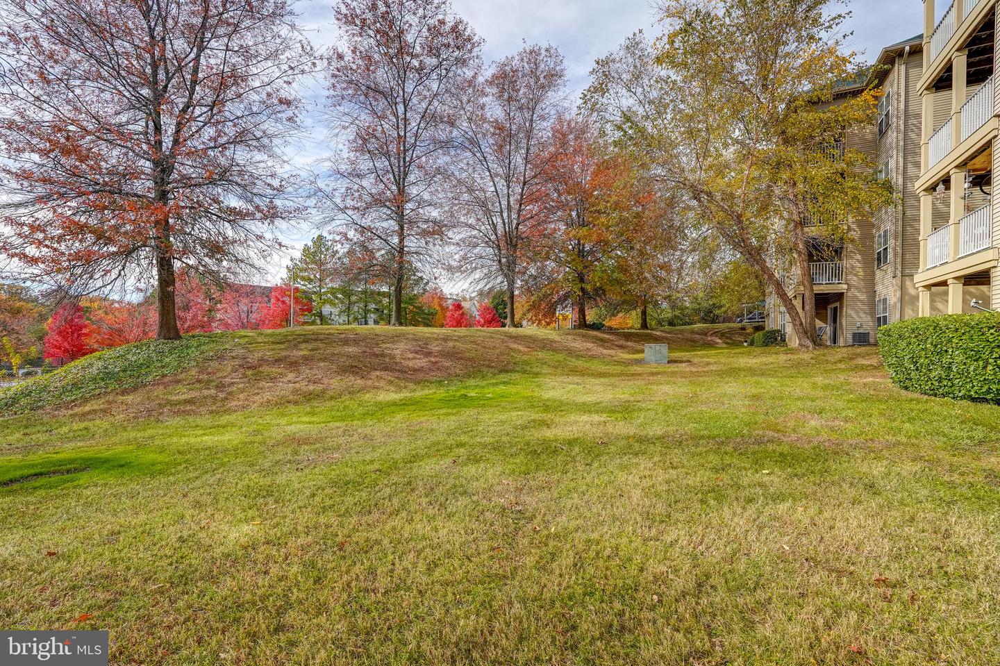 1066 GARDENVIEW LOOP #304, WOODBRIDGE, Virginia 22191, 2 Bedrooms Bedrooms, ,2 BathroomsBathrooms,Residential,For sale,1066 GARDENVIEW LOOP #304,VAPW2107232 MLS # VAPW2107232 1066 GARDENVIEW LOOP #304, WOODBRIDGE, Virginia 22191, 2 Bedrooms Bedrooms, ,2 BathroomsBathrooms,Residential,For sale,1066 GARDENVIEW LOOP #304,VAPW2107232 MLS # VAPW2107232