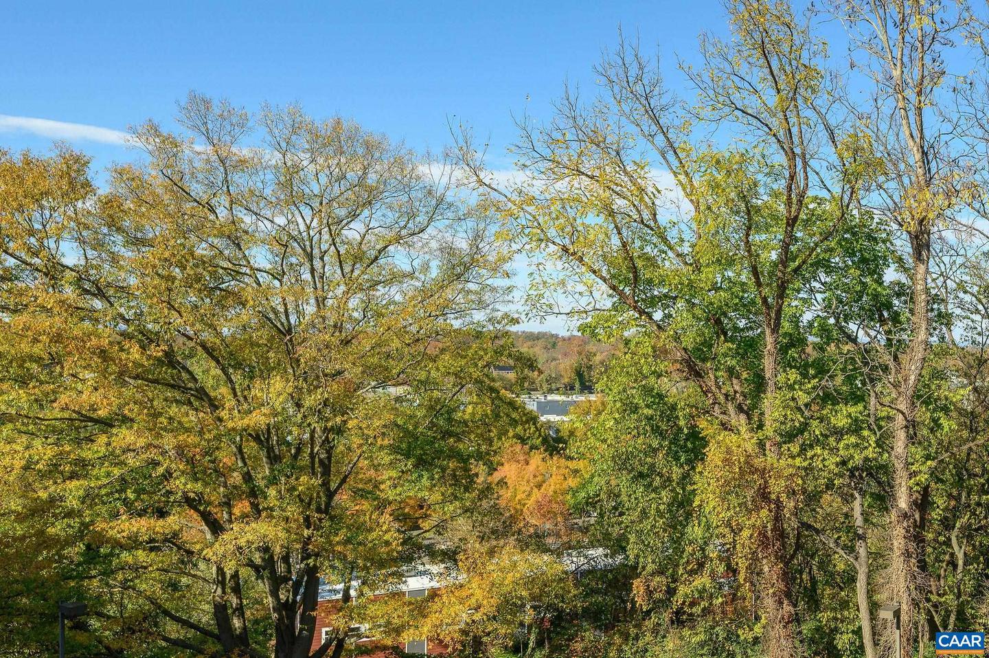 511 N 1ST ST #509, CHARLOTTESVILLE, Virginia 22902, 1 Bedroom Bedrooms, ,1 BathroomBathrooms,Residential,For sale,511 N 1ST ST #509,670754 MLS # 670754 511 N 1ST ST #509, CHARLOTTESVILLE, Virginia 22902, 1 Bedroom Bedrooms, ,1 BathroomBathrooms,Residential,For sale,511 N 1ST ST #509,670754 MLS # 670754