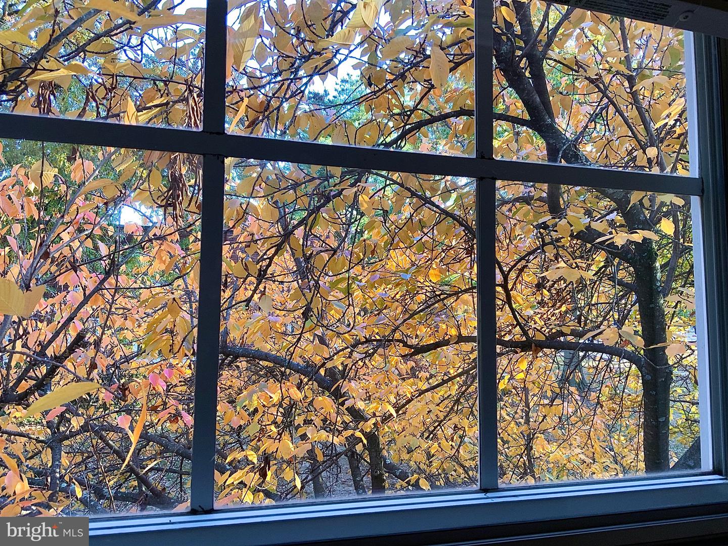 2007 KEY BLVD #589, ARLINGTON, Virginia 22201, 1 Bedroom Bedrooms, ,1 BathroomBathrooms,Residential,For sale,2007 KEY BLVD #589,VAAR2065766 MLS # VAAR2065766 2007 KEY BLVD #589, ARLINGTON, Virginia 22201, 1 Bedroom Bedrooms, ,1 BathroomBathrooms,Residential,For sale,2007 KEY BLVD #589,VAAR2065766 MLS # VAAR2065766