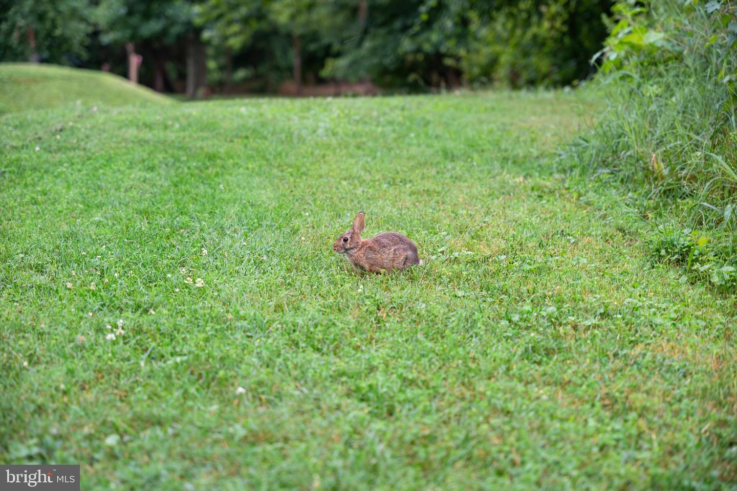 5300 COLUMBIA PIKE #315, ARLINGTON, Virginia 22204, 3 Bedrooms Bedrooms, ,2 BathroomsBathrooms,Residential,For sale,5300 COLUMBIA PIKE #315,VAAR2065774 MLS # VAAR2065774 5300 COLUMBIA PIKE #315, ARLINGTON, Virginia 22204, 3 Bedrooms Bedrooms, ,2 BathroomsBathrooms,Residential,For sale,5300 COLUMBIA PIKE #315,VAAR2065774 MLS # VAAR2065774