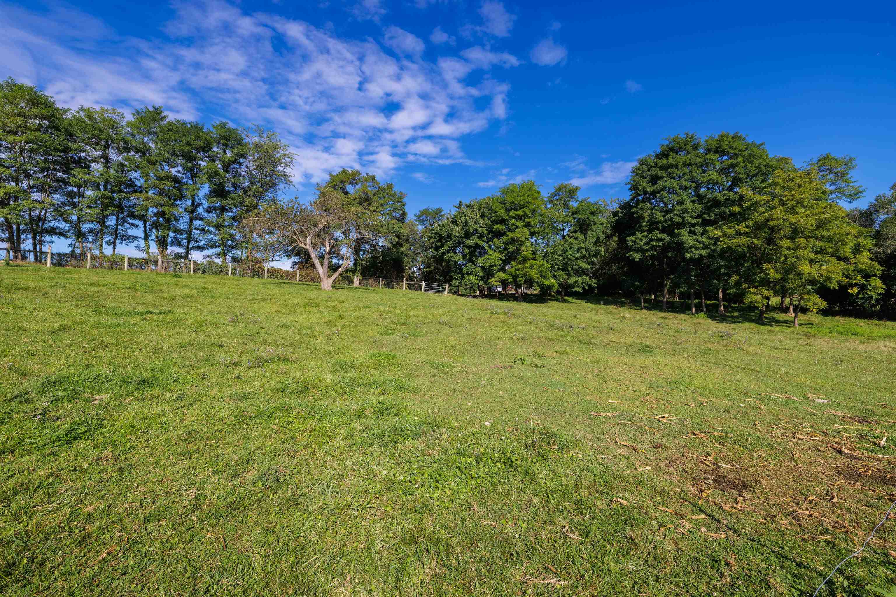 8016 REBEL LN, BRIDGEWATER, Virginia 22812, ,Land,8016 REBEL LN,669543 MLS # 669543