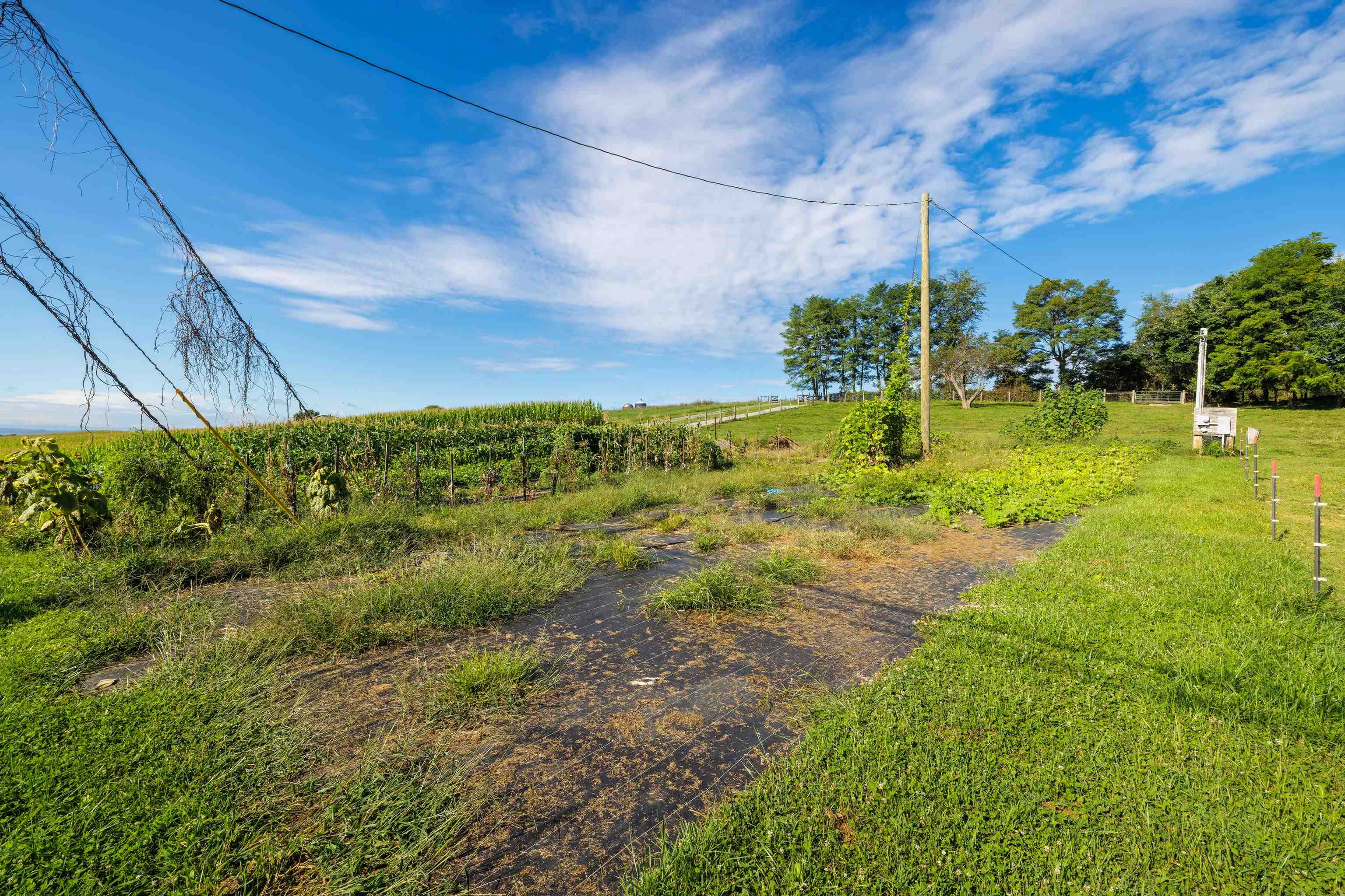 8016 REBEL LN, BRIDGEWATER, Virginia 22812, ,Land,8016 REBEL LN,669543 MLS # 669543