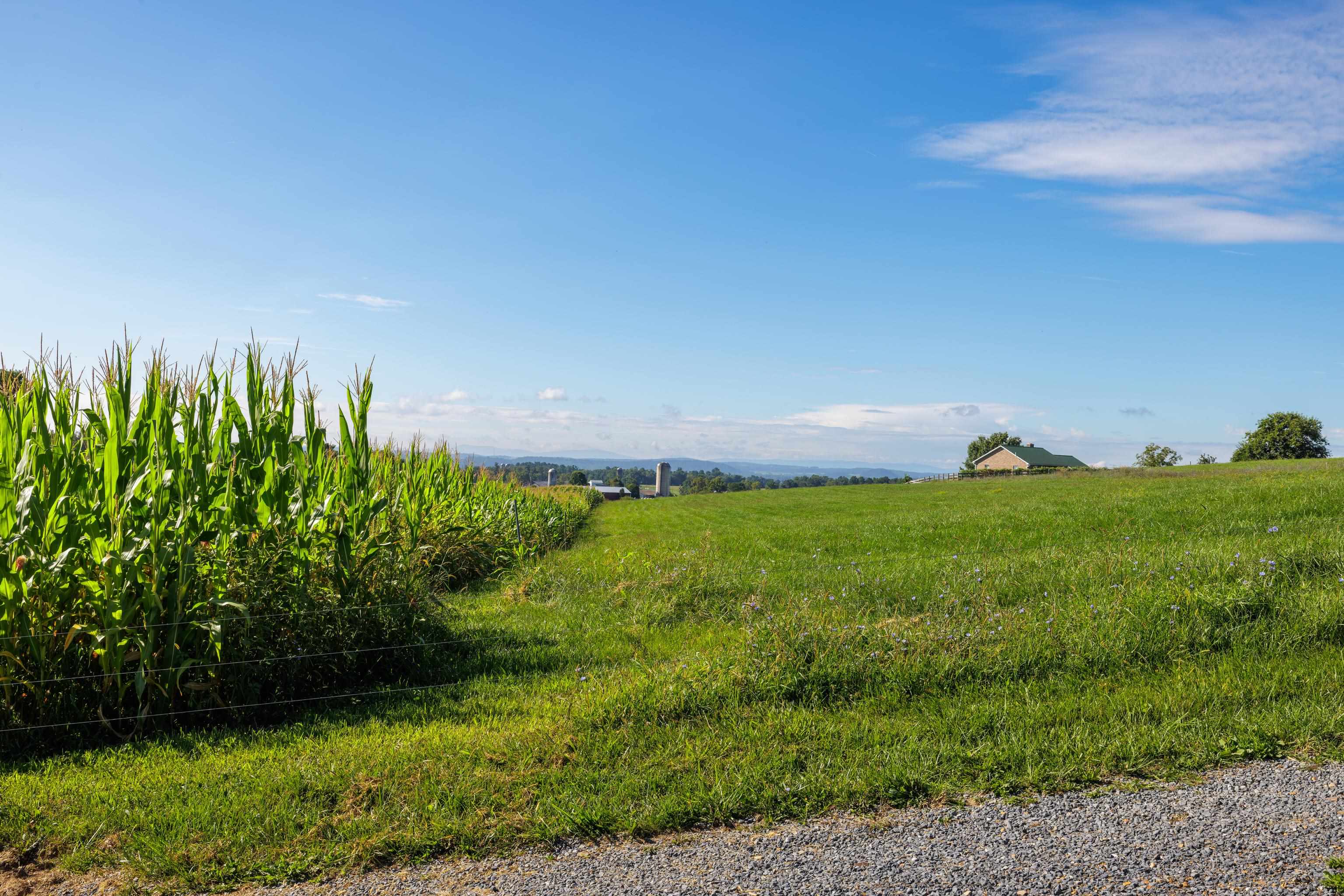 8016 REBEL LN, BRIDGEWATER, Virginia 22812, ,Land,8016 REBEL LN,669543 MLS # 669543