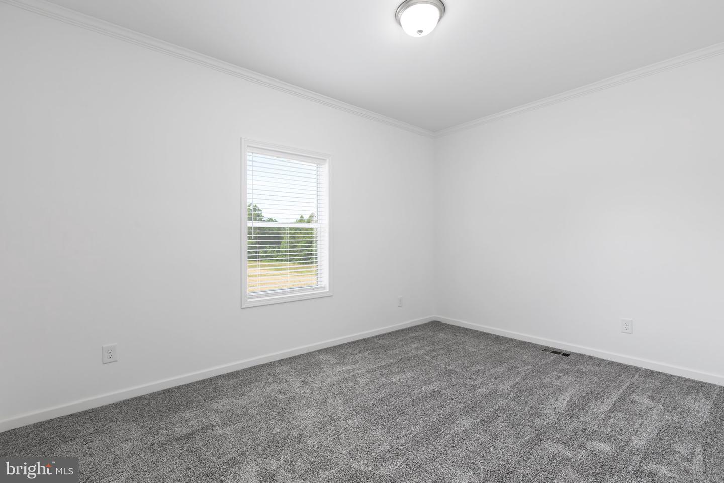 931 LEVI RD, GREEN BAY, Virginia 23942, 3 Bedrooms Bedrooms, 9 Rooms Rooms,2 BathroomsBathrooms,Residential,For sale,931 LEVI RD,VAPE2000034 MLS # VAPE2000034