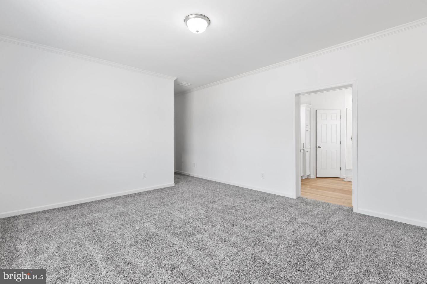 931 LEVI RD, GREEN BAY, Virginia 23942, 3 Bedrooms Bedrooms, 9 Rooms Rooms,2 BathroomsBathrooms,Residential,For sale,931 LEVI RD,VAPE2000034 MLS # VAPE2000034