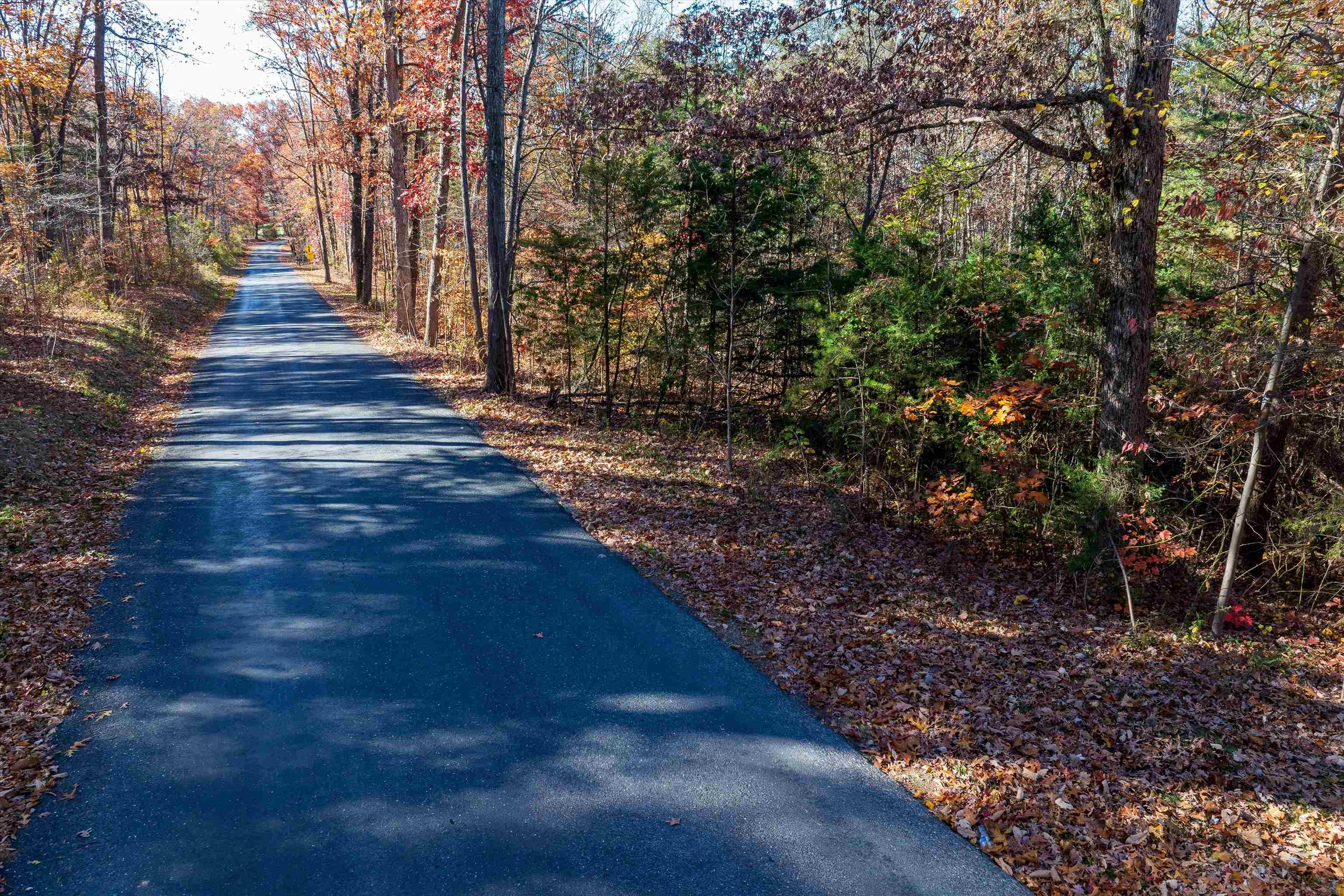 TBD PINE BLUFF RD, WAYNESBORO, Virginia 22980, ,Land,TBD PINE BLUFF RD,670797 MLS # 670797