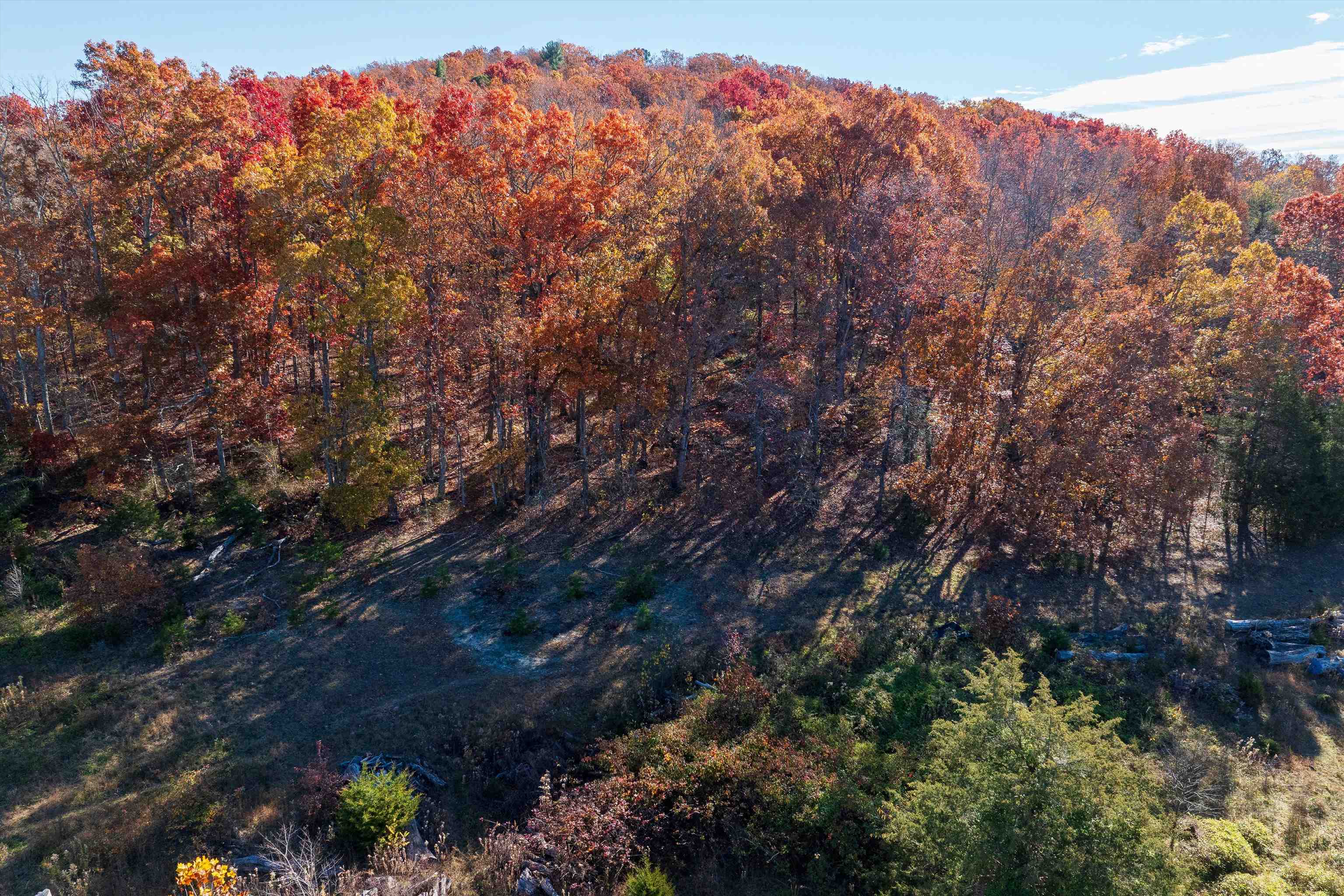 TBD PINE BLUFF RD, WAYNESBORO, Virginia 22980, ,Land,TBD PINE BLUFF RD,670797 MLS # 670797