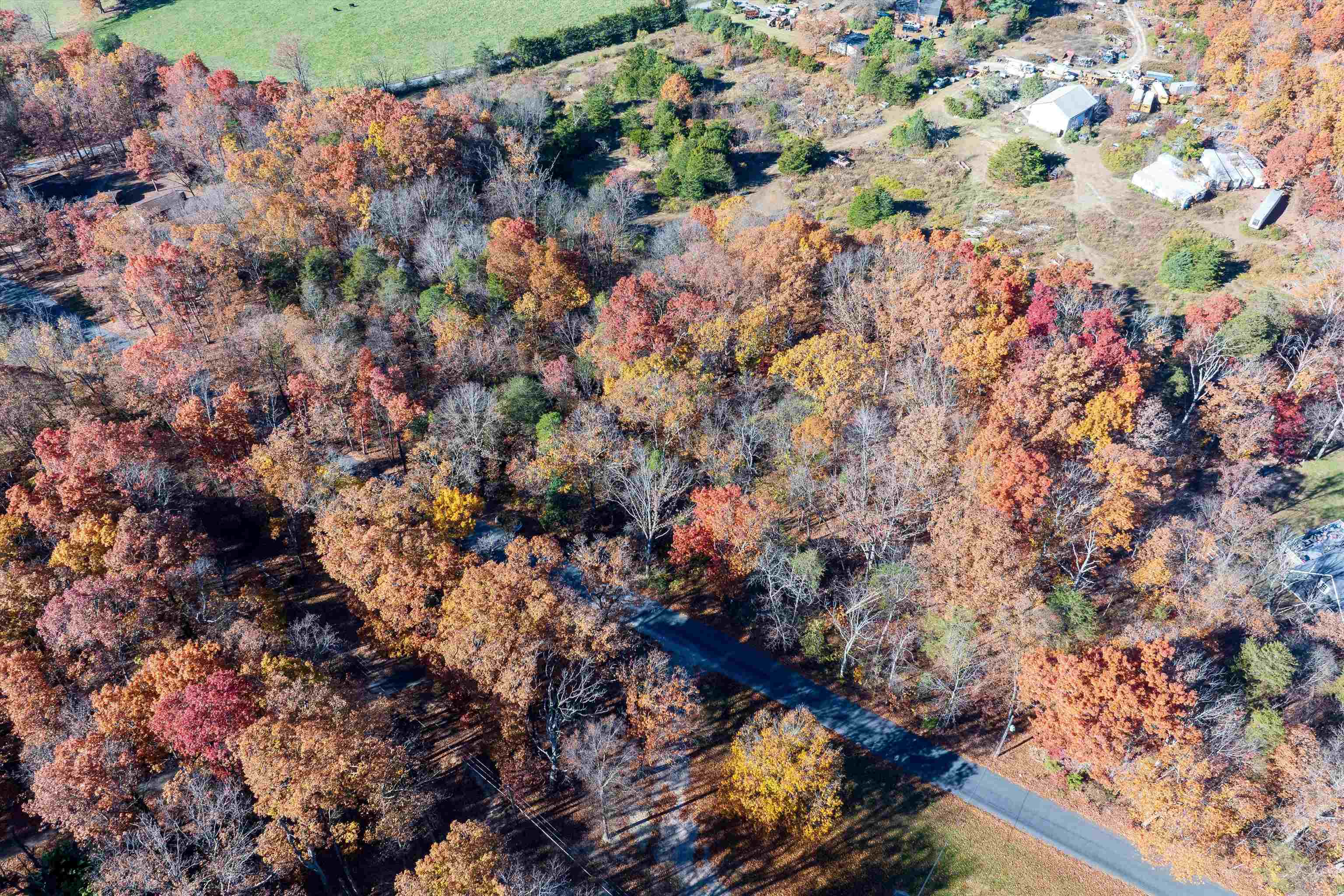 TBD PINE BLUFF RD, WAYNESBORO, Virginia 22980, ,Land,TBD PINE BLUFF RD,670797 MLS # 670797