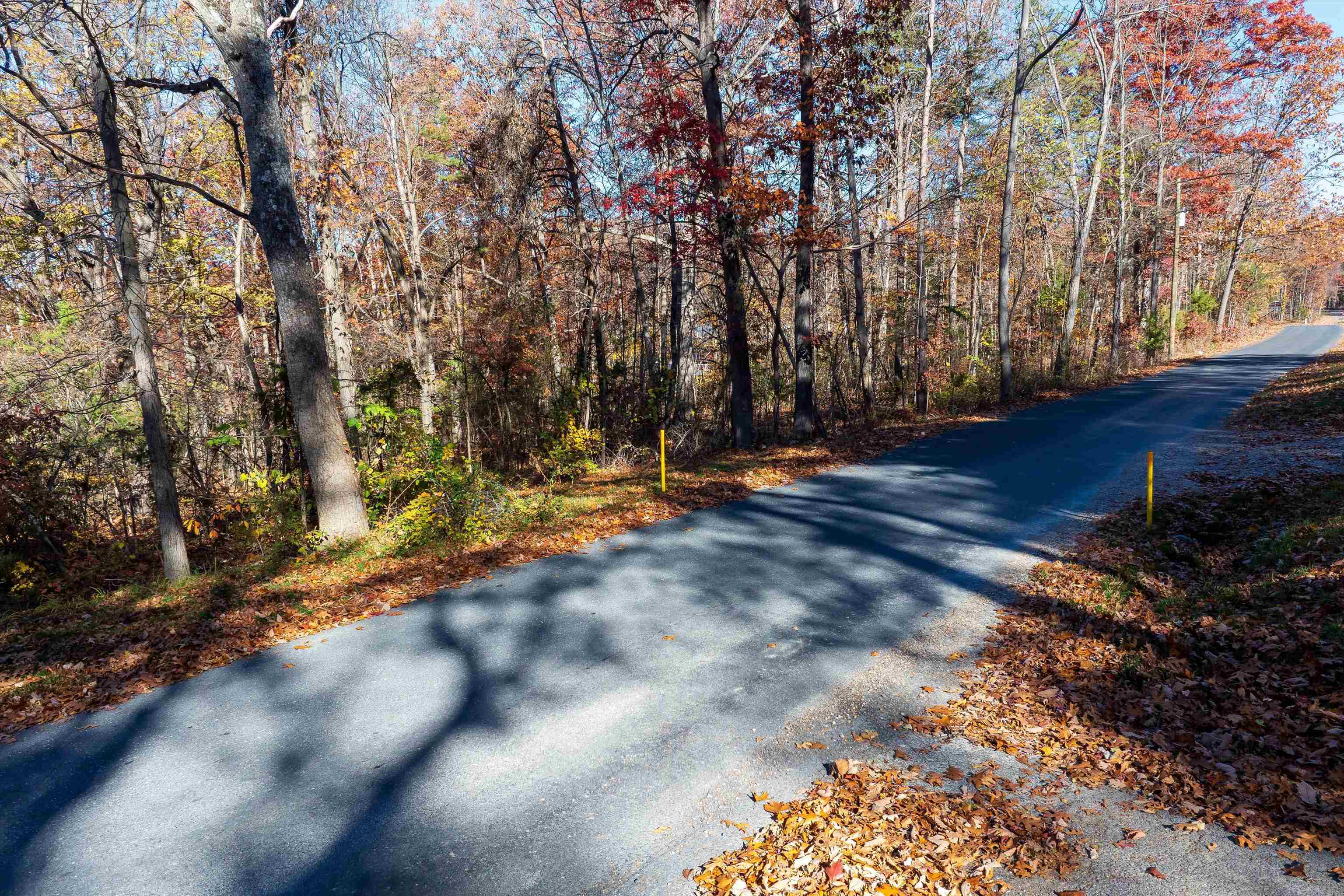 TBD PINE BLUFF RD, WAYNESBORO, Virginia 22980, ,Land,TBD PINE BLUFF RD,670797 MLS # 670797
