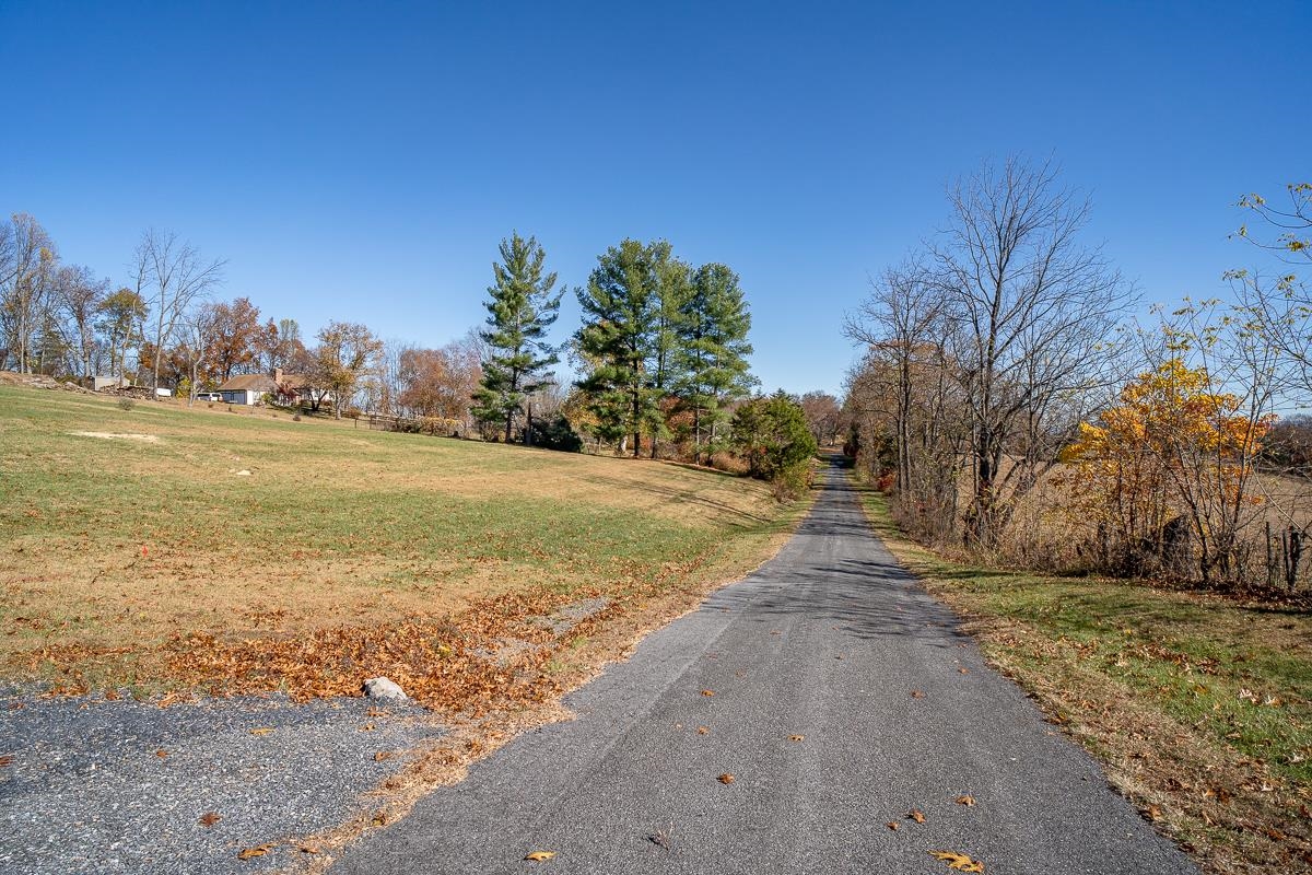 TBD W ROMAN RIDGE RD, MOUNT SIDNEY, Virginia 24467, ,Land,TBD W ROMAN RIDGE RD,670813 MLS # 670813
