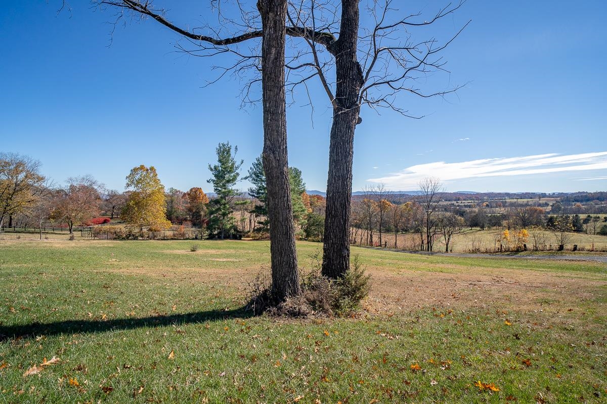 TBD W ROMAN RIDGE RD, MOUNT SIDNEY, Virginia 24467, ,Land,TBD W ROMAN RIDGE RD,670813 MLS # 670813