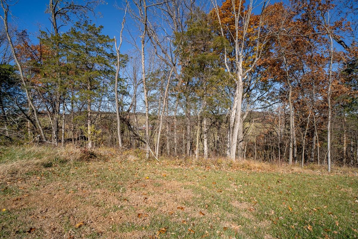 TBD W ROMAN RIDGE RD, MOUNT SIDNEY, Virginia 24467, ,Land,TBD W ROMAN RIDGE RD,670813 MLS # 670813