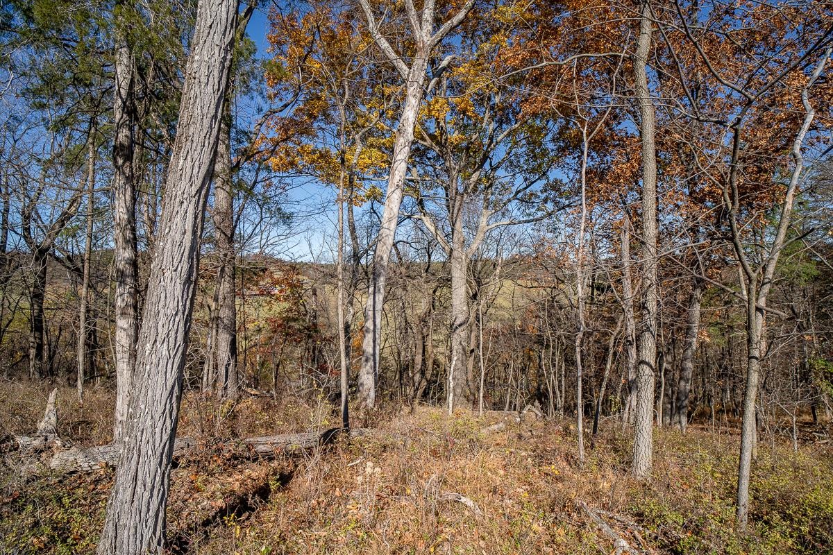TBD W ROMAN RIDGE RD, MOUNT SIDNEY, Virginia 24467, ,Land,TBD W ROMAN RIDGE RD,670813 MLS # 670813