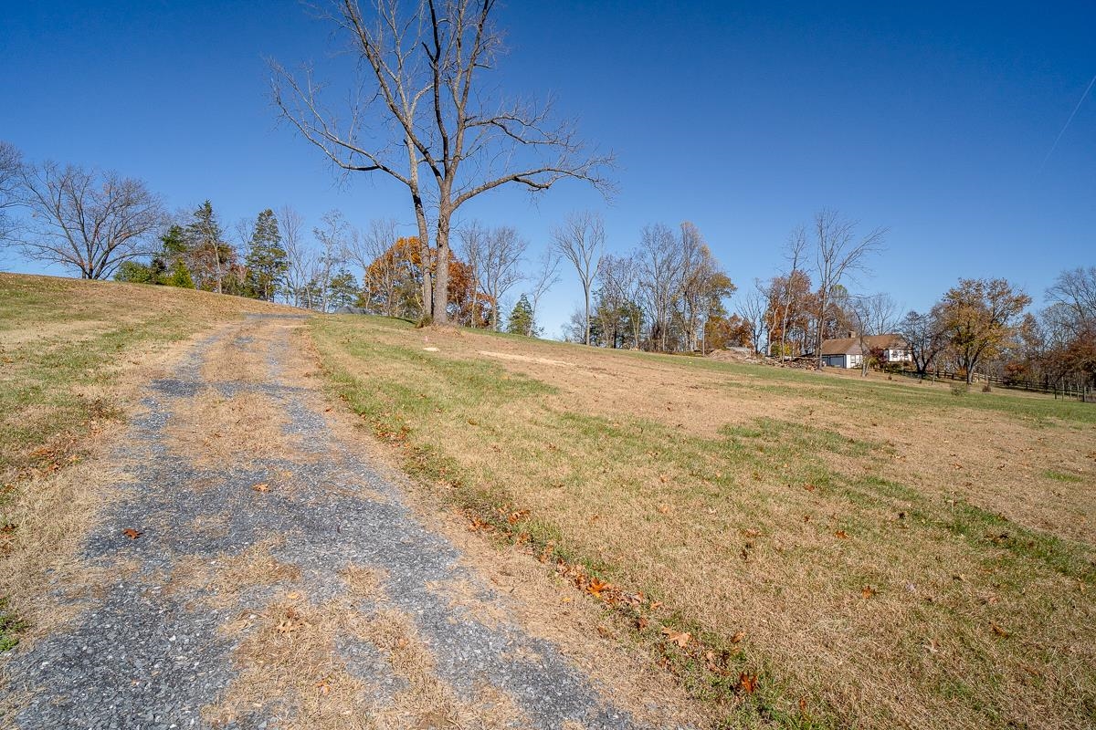 TBD W ROMAN RIDGE RD, MOUNT SIDNEY, Virginia 24467, ,Land,TBD W ROMAN RIDGE RD,670813 MLS # 670813