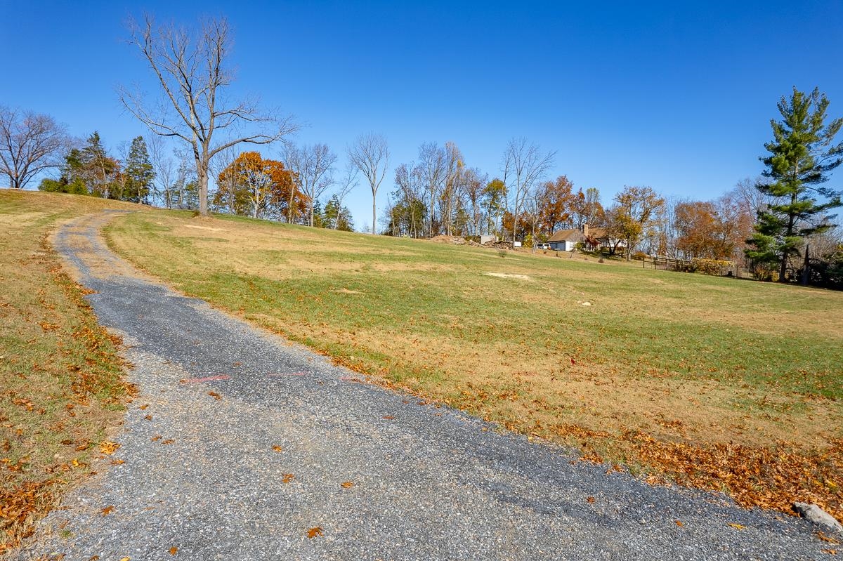 TBD W ROMAN RIDGE RD, MOUNT SIDNEY, Virginia 24467, ,Land,TBD W ROMAN RIDGE RD,670813 MLS # 670813