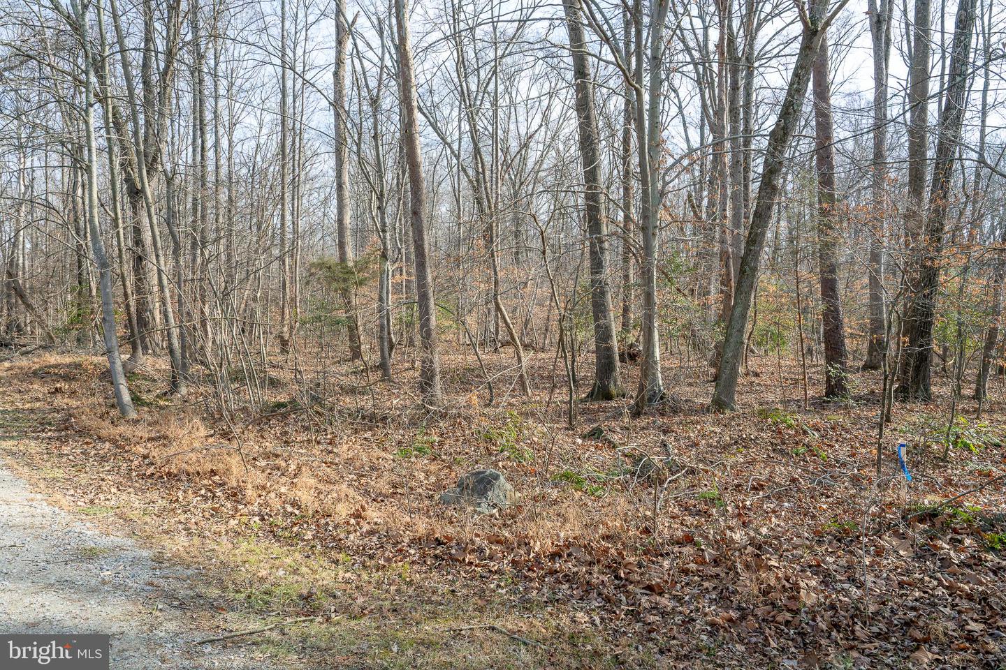 14435 DELANEY RD, WOODBRIDGE, Virginia 22193, ,Land,For sale,14435 DELANEY RD,VAPW2085222 MLS # VAPW2085222 14435 DELANEY RD, WOODBRIDGE, Virginia 22193, ,Land,For sale,14435 DELANEY RD,VAPW2085222 MLS # VAPW2085222