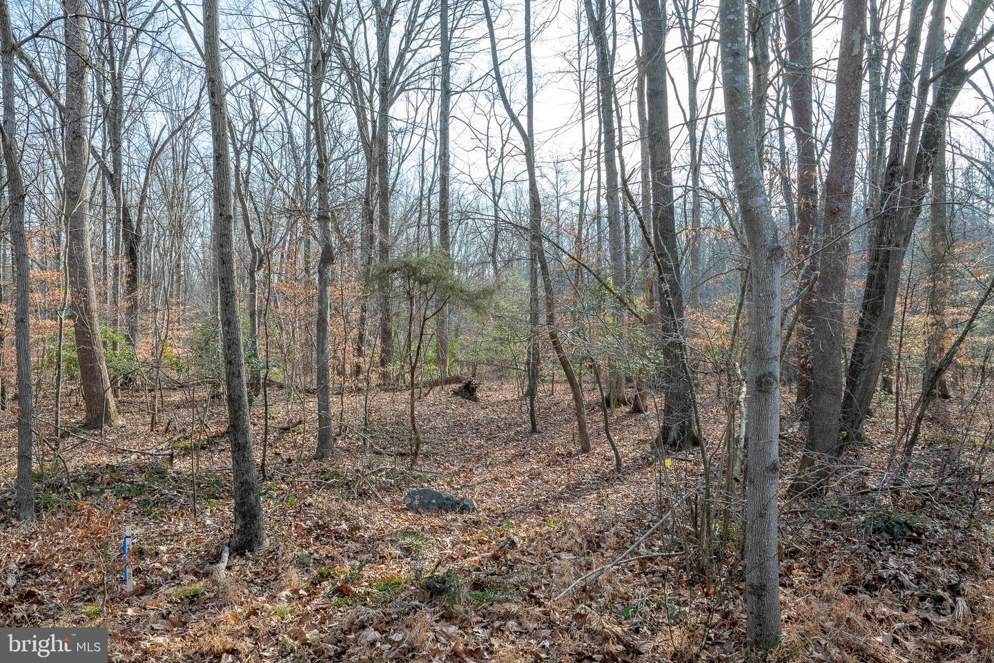 14435 DELANEY RD, WOODBRIDGE, Virginia 22193, ,Land,For sale,14435 DELANEY RD,VAPW2085222 MLS # VAPW2085222 14435 DELANEY RD, WOODBRIDGE, Virginia 22193, ,Land,For sale,14435 DELANEY RD,VAPW2085222 MLS # VAPW2085222