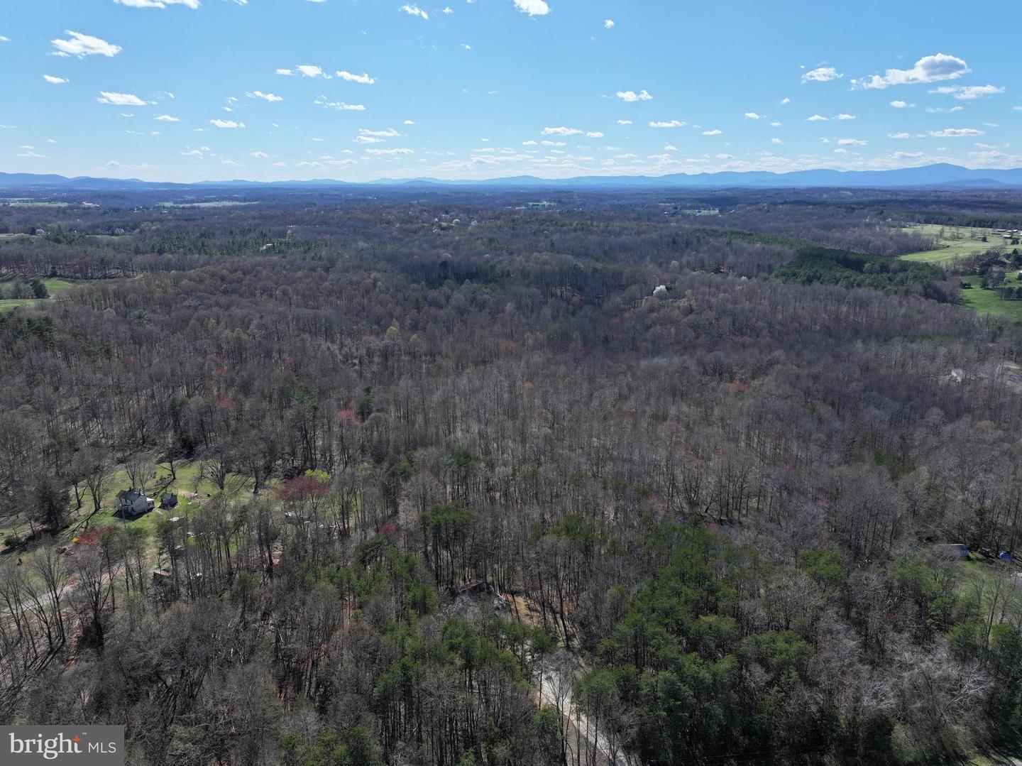 TANNERS, ORANGE, Virginia 22960, ,Land,For sale,TANNERS,VAMA2002158 MLS # VAMA2002158 TANNERS, ORANGE, Virginia 22960, ,Land,For sale,TANNERS,VAMA2002158 MLS # VAMA2002158