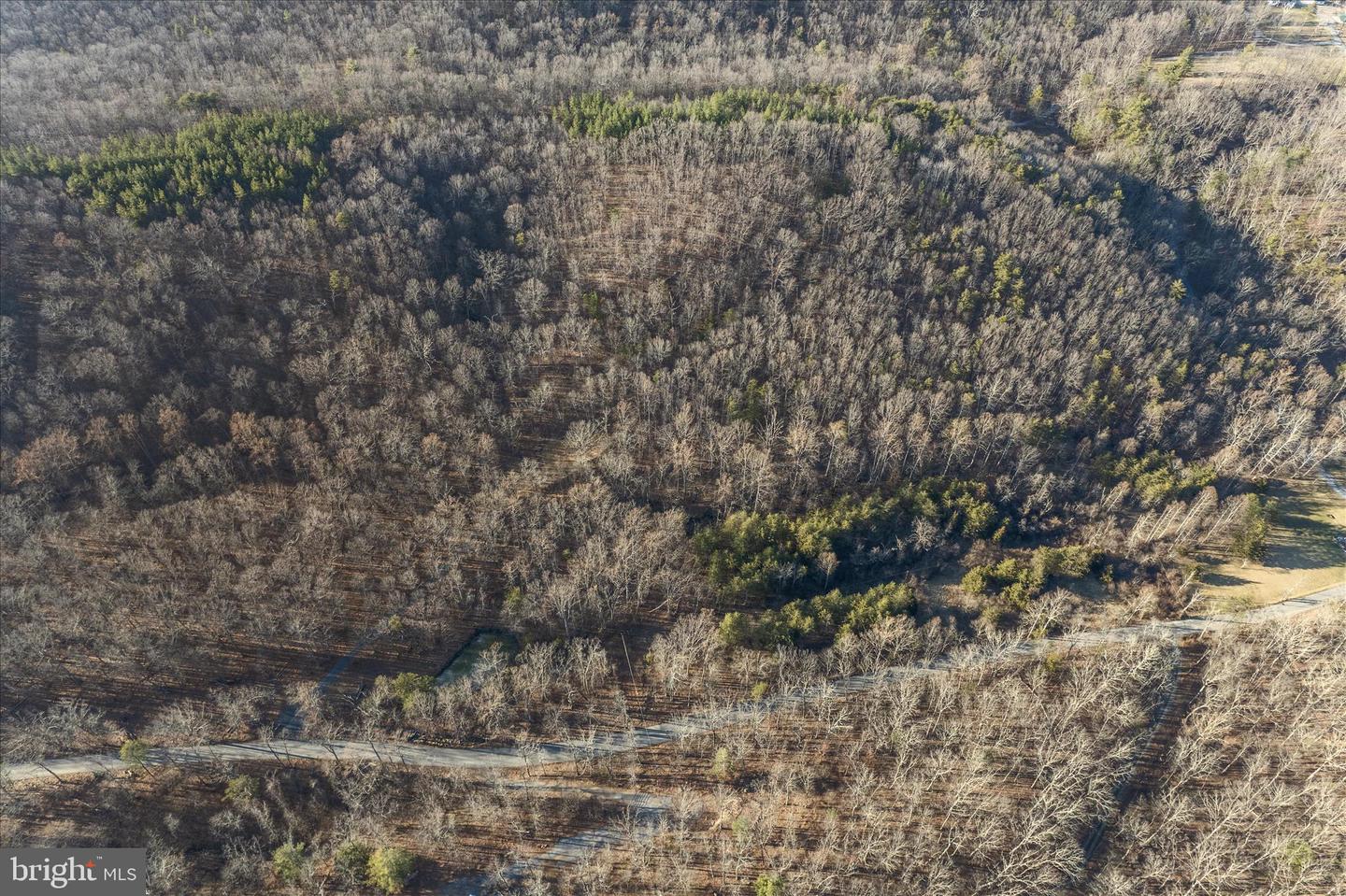 BACK CREEK RD, GORE, Virginia 22637, ,Land,For sale,BACK CREEK RD,VAFV2037822 MLS # VAFV2037822 BACK CREEK RD, GORE, Virginia 22637, ,Land,For sale,BACK CREEK RD,VAFV2037822 MLS # VAFV2037822