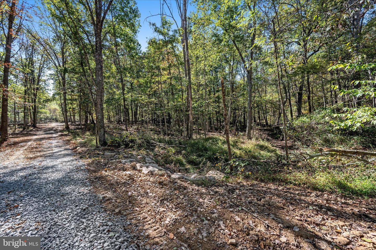 BACK CREEK RD, GORE, Virginia 22637, ,Land,For sale,BACK CREEK RD,VAFV2037822 MLS # VAFV2037822 BACK CREEK RD, GORE, Virginia 22637, ,Land,For sale,BACK CREEK RD,VAFV2037822 MLS # VAFV2037822