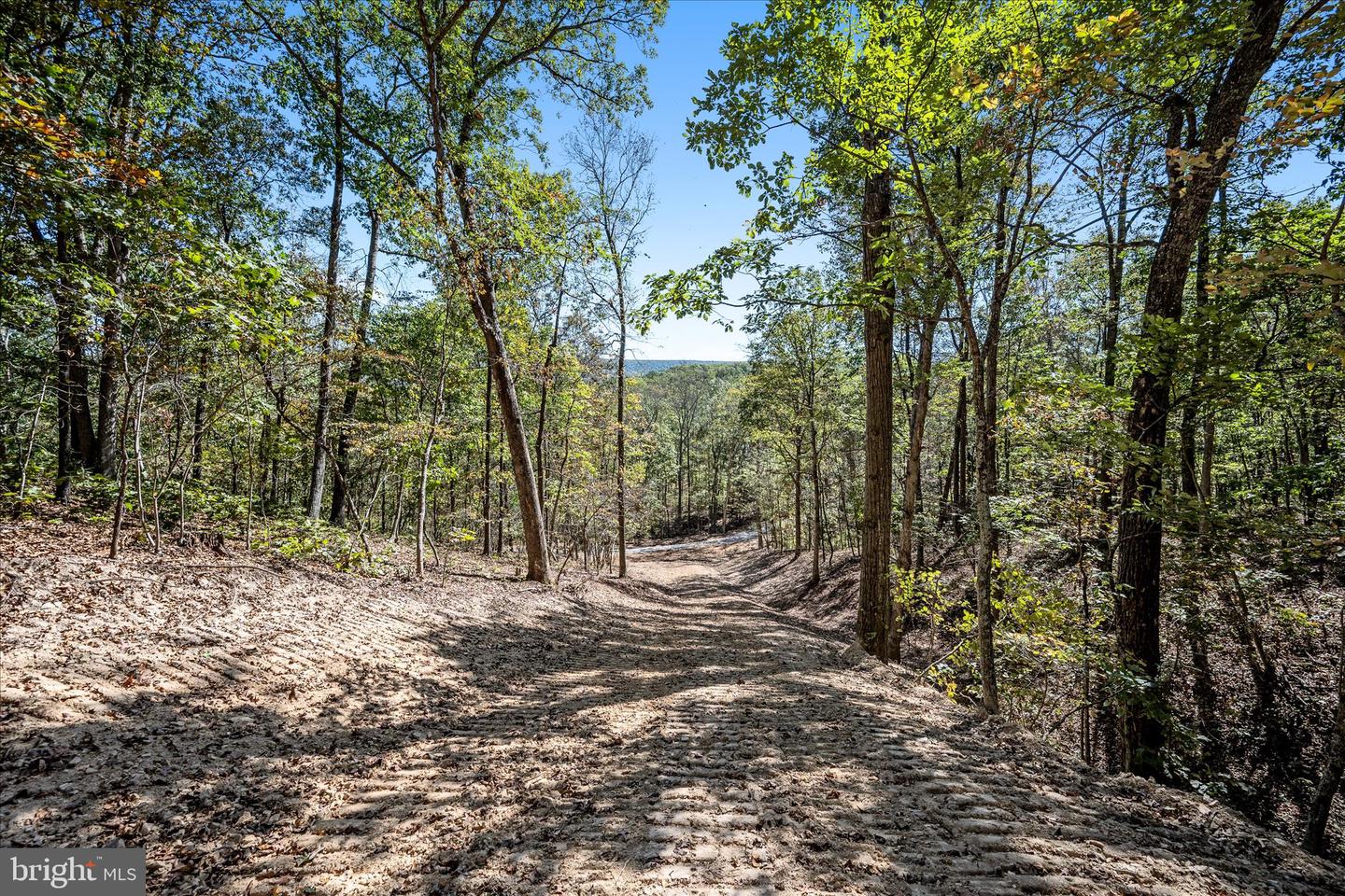 BACK CREEK RD, GORE, Virginia 22637, ,Land,For sale,BACK CREEK RD,VAFV2037822 MLS # VAFV2037822 BACK CREEK RD, GORE, Virginia 22637, ,Land,For sale,BACK CREEK RD,VAFV2037822 MLS # VAFV2037822