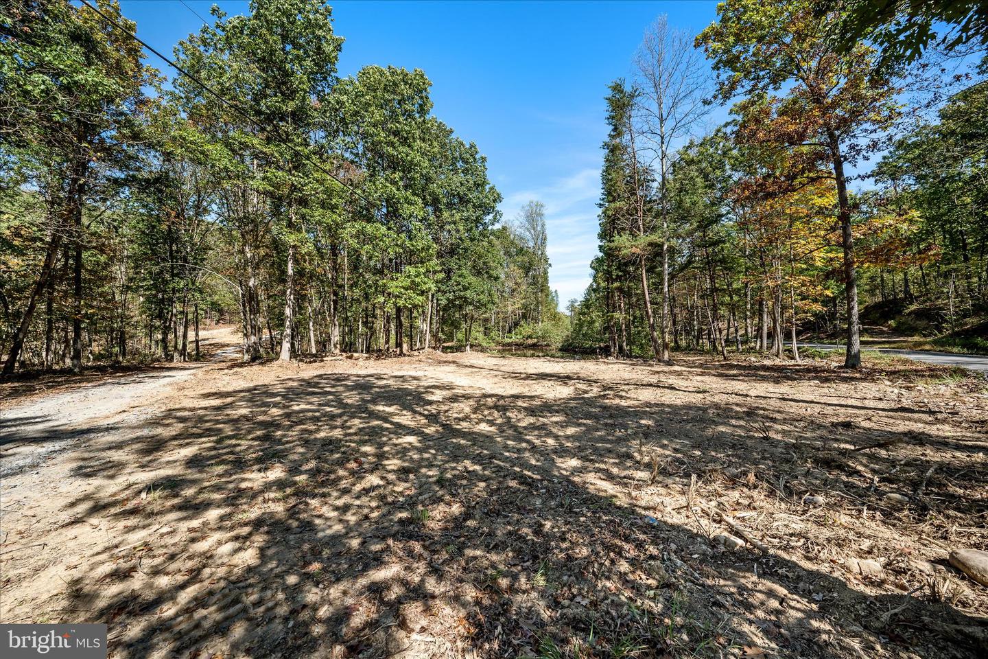 BACK CREEK RD, GORE, Virginia 22637, ,Land,For sale,BACK CREEK RD,VAFV2037822 MLS # VAFV2037822 BACK CREEK RD, GORE, Virginia 22637, ,Land,For sale,BACK CREEK RD,VAFV2037822 MLS # VAFV2037822