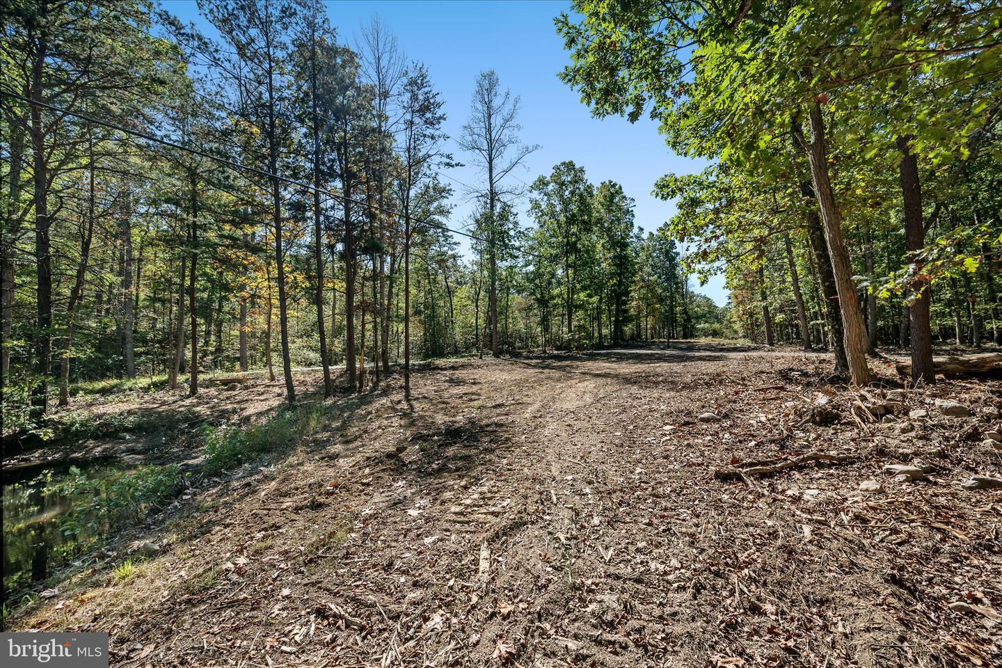 BACK CREEK RD, GORE, Virginia 22637, ,Land,For sale,BACK CREEK RD,VAFV2037822 MLS # VAFV2037822 BACK CREEK RD, GORE, Virginia 22637, ,Land,For sale,BACK CREEK RD,VAFV2037822 MLS # VAFV2037822