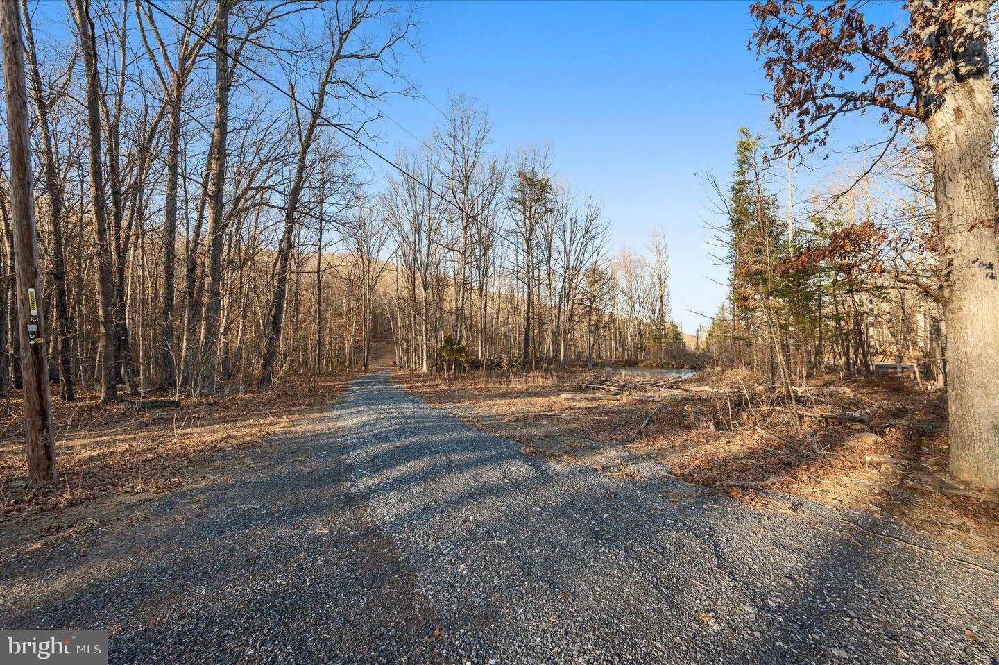 BACK CREEK RD, GORE, Virginia 22637, ,Land,For sale,BACK CREEK RD,VAFV2037822 MLS # VAFV2037822 BACK CREEK RD, GORE, Virginia 22637, ,Land,For sale,BACK CREEK RD,VAFV2037822 MLS # VAFV2037822