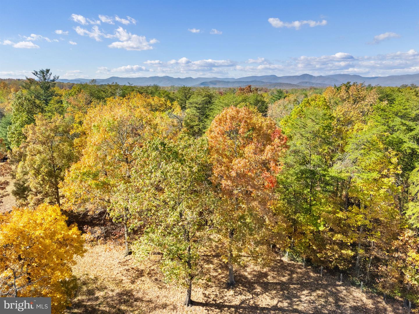 LAUREL SPRINGS RD, CULPEPER, Virginia 22701, ,Land,For sale,LAUREL SPRINGS RD,VACU2012010 MLS # VACU2012010 LAUREL SPRINGS RD, CULPEPER, Virginia 22701, ,Land,For sale,LAUREL SPRINGS RD,VACU2012010 MLS # VACU2012010