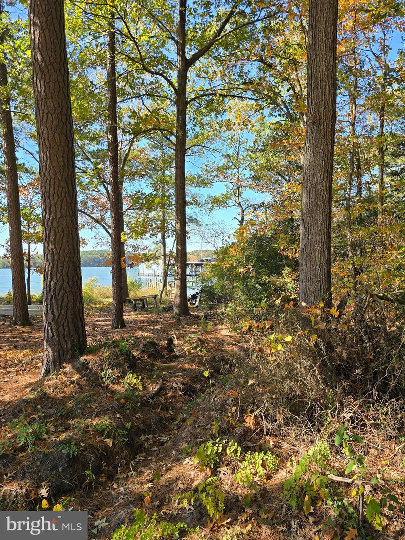 LOT #19 SHORE LN, KINSALE, Virginia 22488, ,Land,For sale,LOT #19 SHORE LN,VAWE2010080 MLS # VAWE2010080