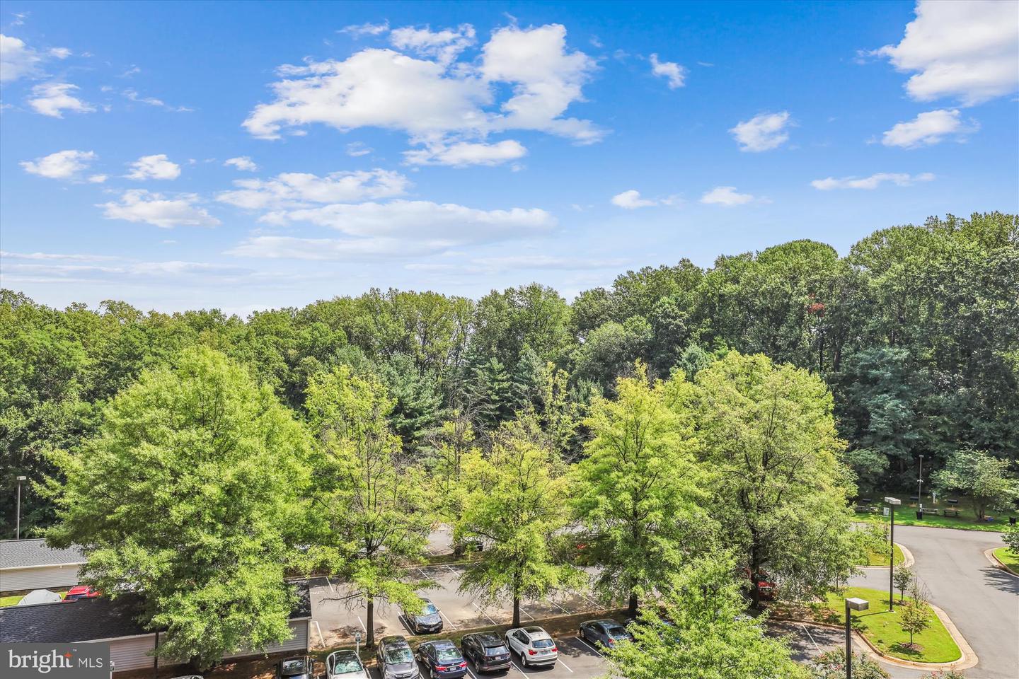 2230 GEORGE C MARSHALL DR #617, FALLS CHURCH, Virginia 22043, 2 Bedrooms Bedrooms, 7 Rooms Rooms,2 BathroomsBathrooms,Residential,For sale,2230 GEORGE C MARSHALL DR #617,VAFX2261006 MLS # VAFX2261006 2230 GEORGE C MARSHALL DR #617, FALLS CHURCH, Virginia 22043, 2 Bedrooms Bedrooms, 7 Rooms Rooms,2 BathroomsBathrooms,Residential,For sale,2230 GEORGE C MARSHALL DR #617,VAFX2261006 MLS # VAFX2261006