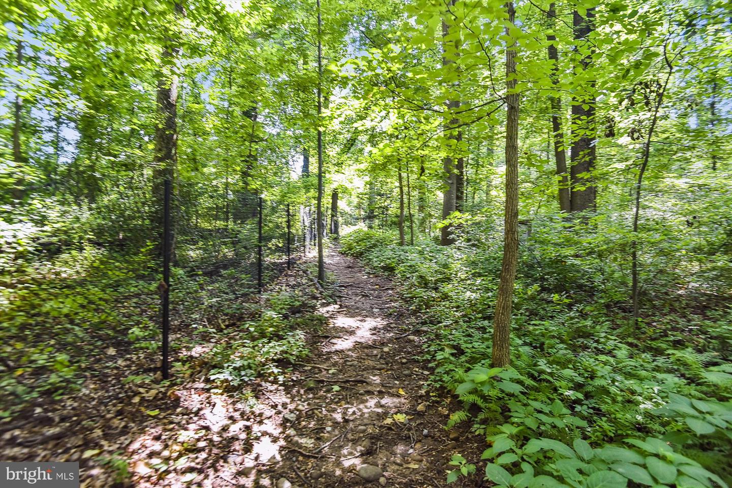 2230 GEORGE C MARSHALL DR #617, FALLS CHURCH, Virginia 22043, 2 Bedrooms Bedrooms, 7 Rooms Rooms,2 BathroomsBathrooms,Residential,For sale,2230 GEORGE C MARSHALL DR #617,VAFX2261006 MLS # VAFX2261006 2230 GEORGE C MARSHALL DR #617, FALLS CHURCH, Virginia 22043, 2 Bedrooms Bedrooms, 7 Rooms Rooms,2 BathroomsBathrooms,Residential,For sale,2230 GEORGE C MARSHALL DR #617,VAFX2261006 MLS # VAFX2261006