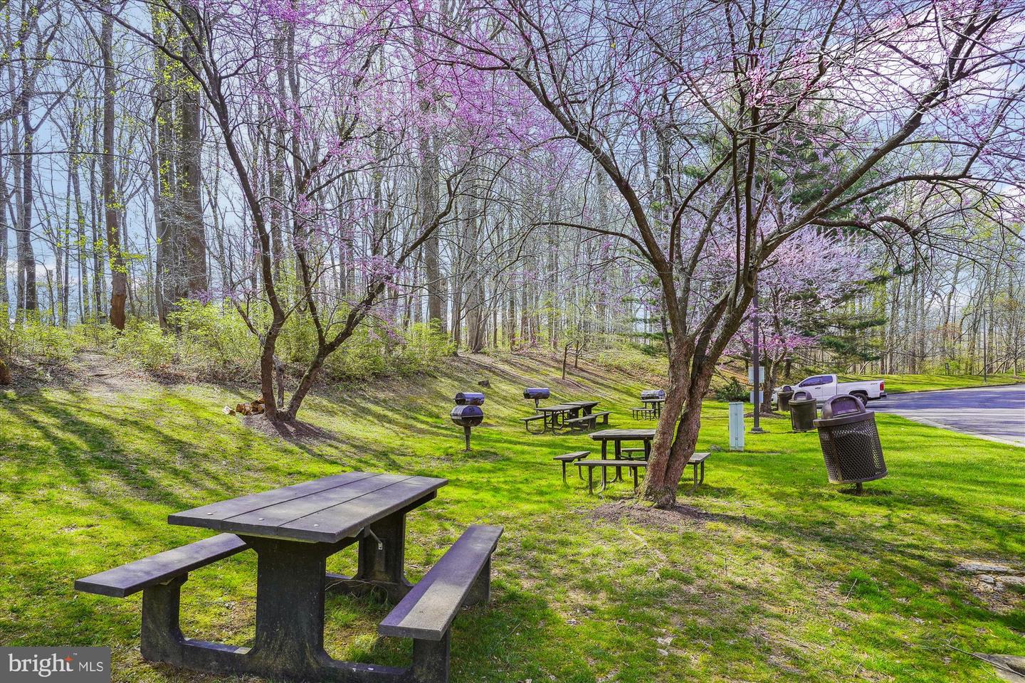 2230 GEORGE C MARSHALL DR #617, FALLS CHURCH, Virginia 22043, 2 Bedrooms Bedrooms, 7 Rooms Rooms,2 BathroomsBathrooms,Residential,For sale,2230 GEORGE C MARSHALL DR #617,VAFX2261006 MLS # VAFX2261006 2230 GEORGE C MARSHALL DR #617, FALLS CHURCH, Virginia 22043, 2 Bedrooms Bedrooms, 7 Rooms Rooms,2 BathroomsBathrooms,Residential,For sale,2230 GEORGE C MARSHALL DR #617,VAFX2261006 MLS # VAFX2261006