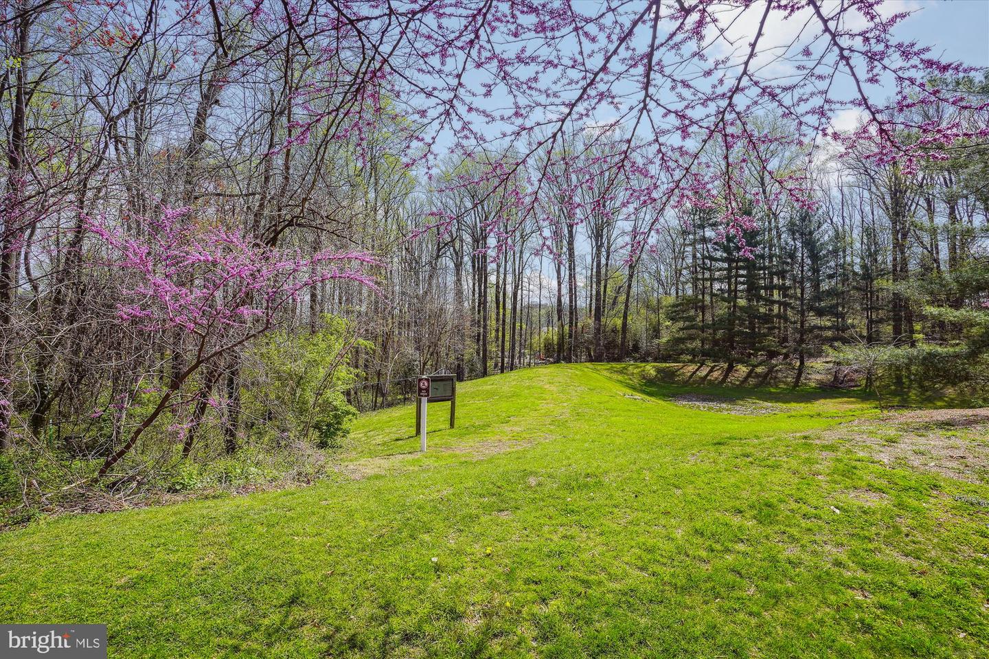 2230 GEORGE C MARSHALL DR #617, FALLS CHURCH, Virginia 22043, 2 Bedrooms Bedrooms, 7 Rooms Rooms,2 BathroomsBathrooms,Residential,For sale,2230 GEORGE C MARSHALL DR #617,VAFX2261006 MLS # VAFX2261006 2230 GEORGE C MARSHALL DR #617, FALLS CHURCH, Virginia 22043, 2 Bedrooms Bedrooms, 7 Rooms Rooms,2 BathroomsBathrooms,Residential,For sale,2230 GEORGE C MARSHALL DR #617,VAFX2261006 MLS # VAFX2261006