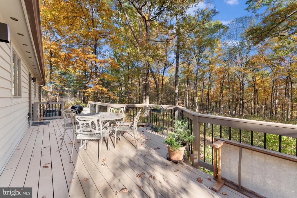 15544 NORMAN, CULPEPER, Virginia 22701, 3 Bedrooms Bedrooms, ,2 BathroomsBathrooms,Residential,15544 NORMAN,VACU2011992 MLS # VACU2011992 15544 NORMAN, CULPEPER, Virginia 22701, 3 Bedrooms Bedrooms, ,2 BathroomsBathrooms,Residential,15544 NORMAN,VACU2011992 MLS # VACU2011992